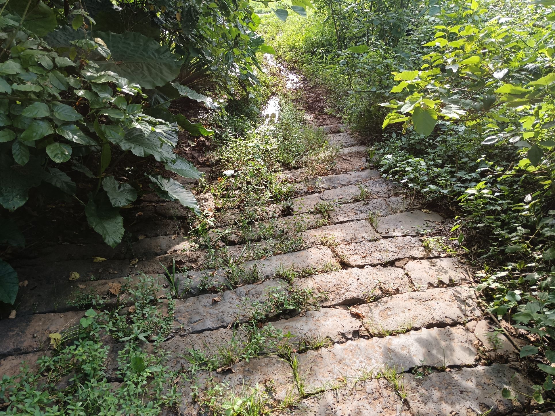 埠头村码头遗址旅行图片 3