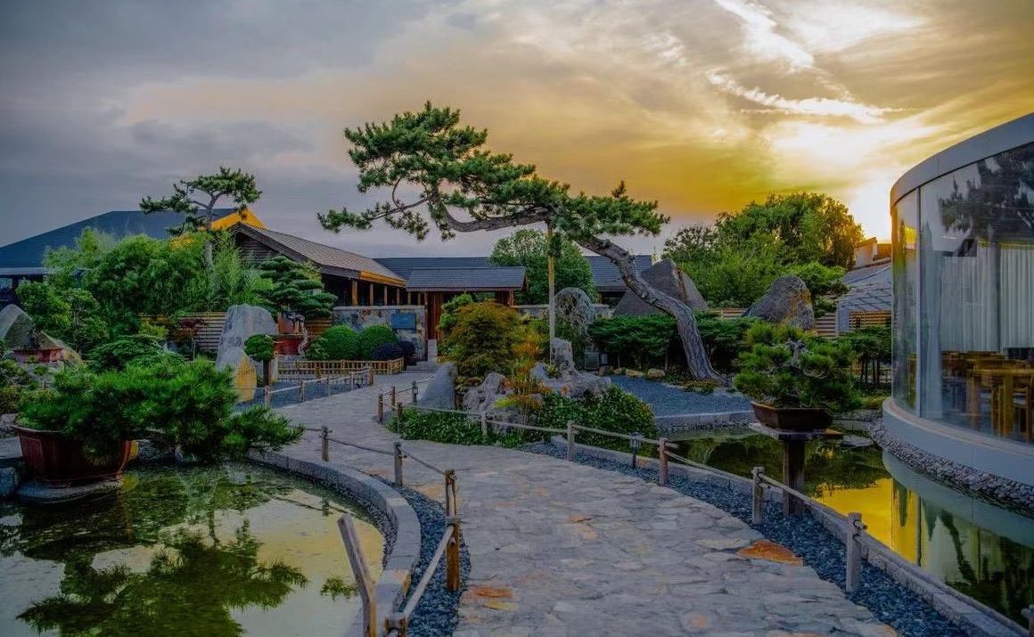 山东文旅醉东风旅游区旅行图片 3