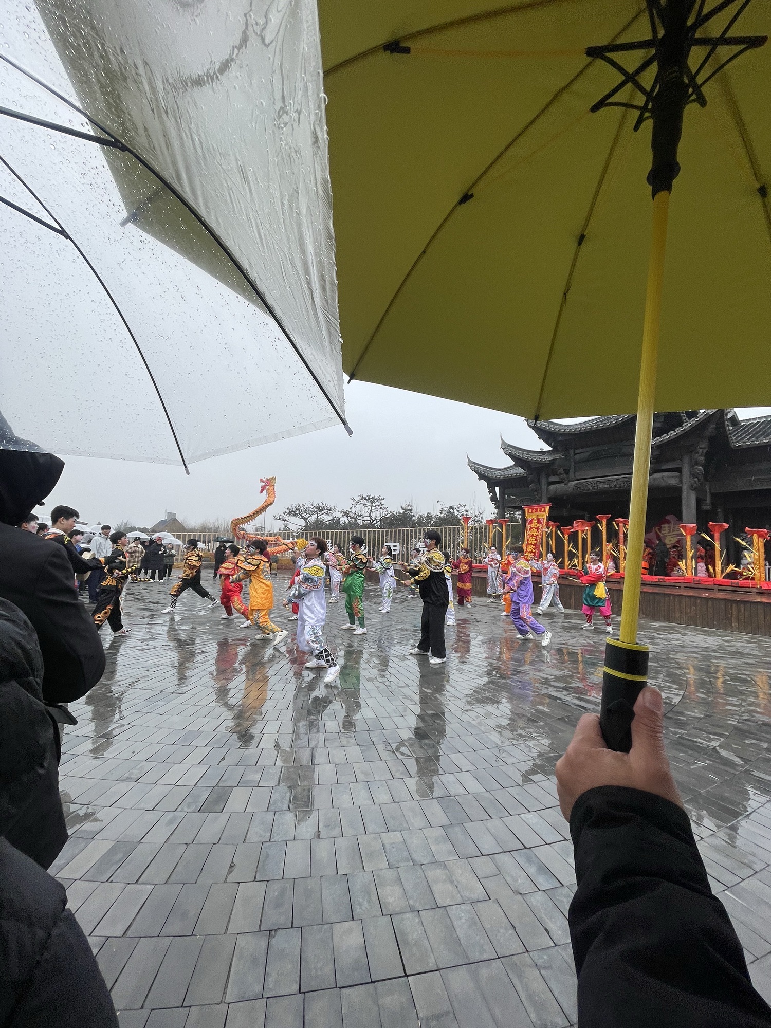 山东文旅醉东风旅游区旅行图片 1