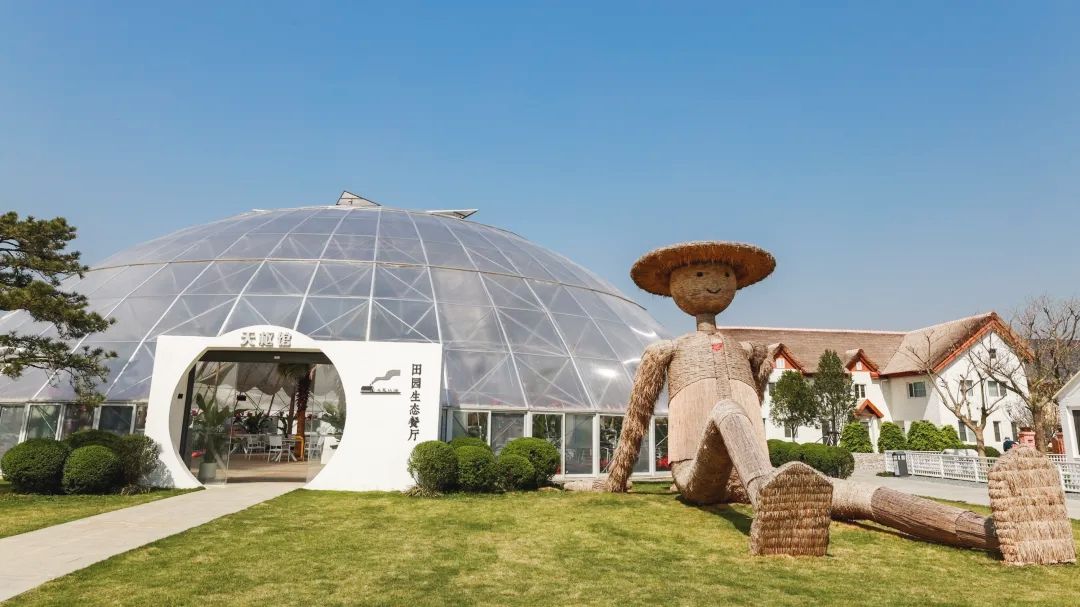 山东文旅醉东风旅游区旅行图片 2