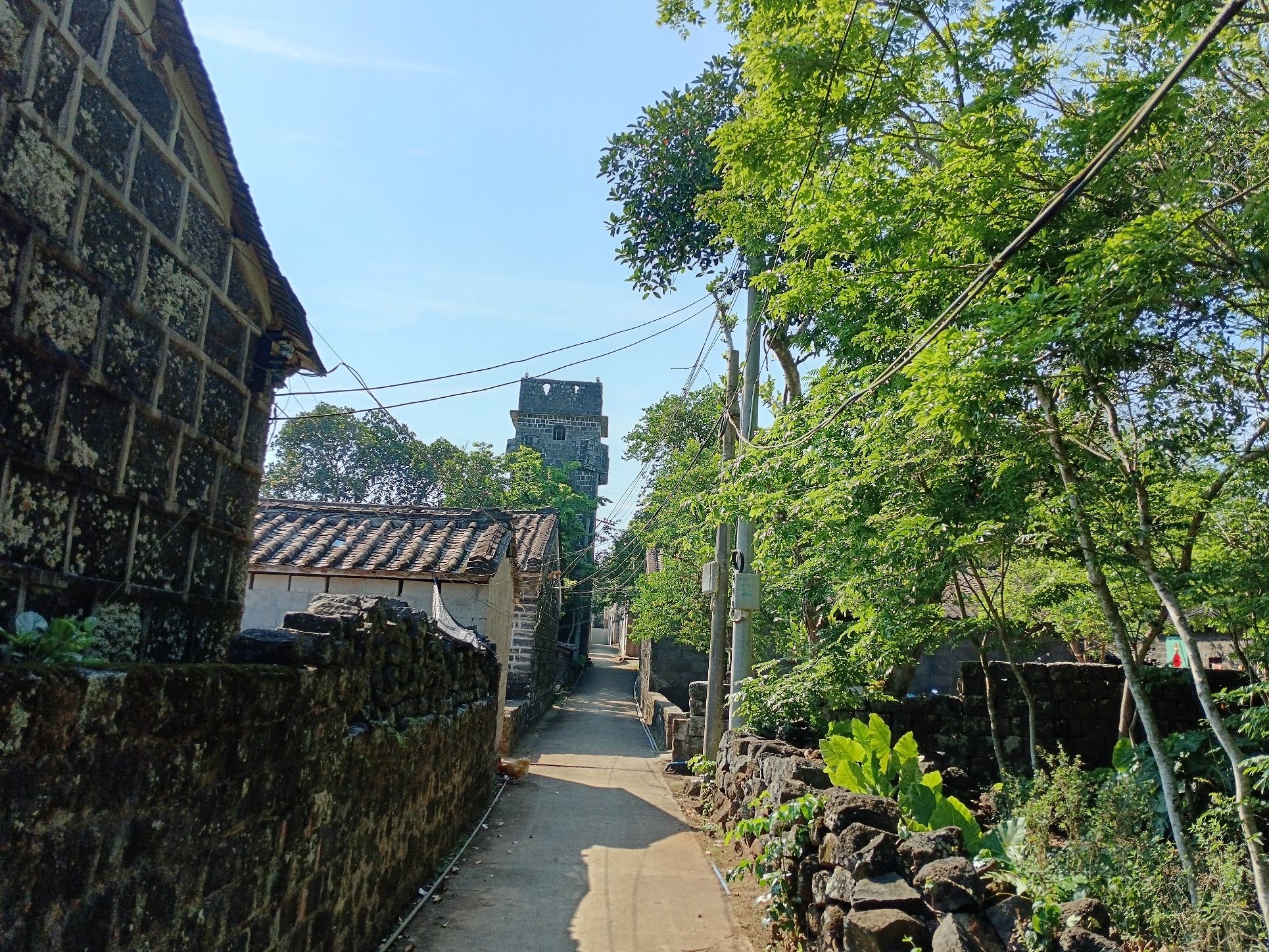 玉柳村炮楼旅行图片 1