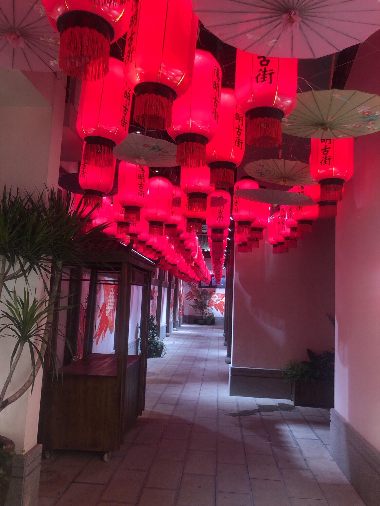 三立广场旅行图片 2