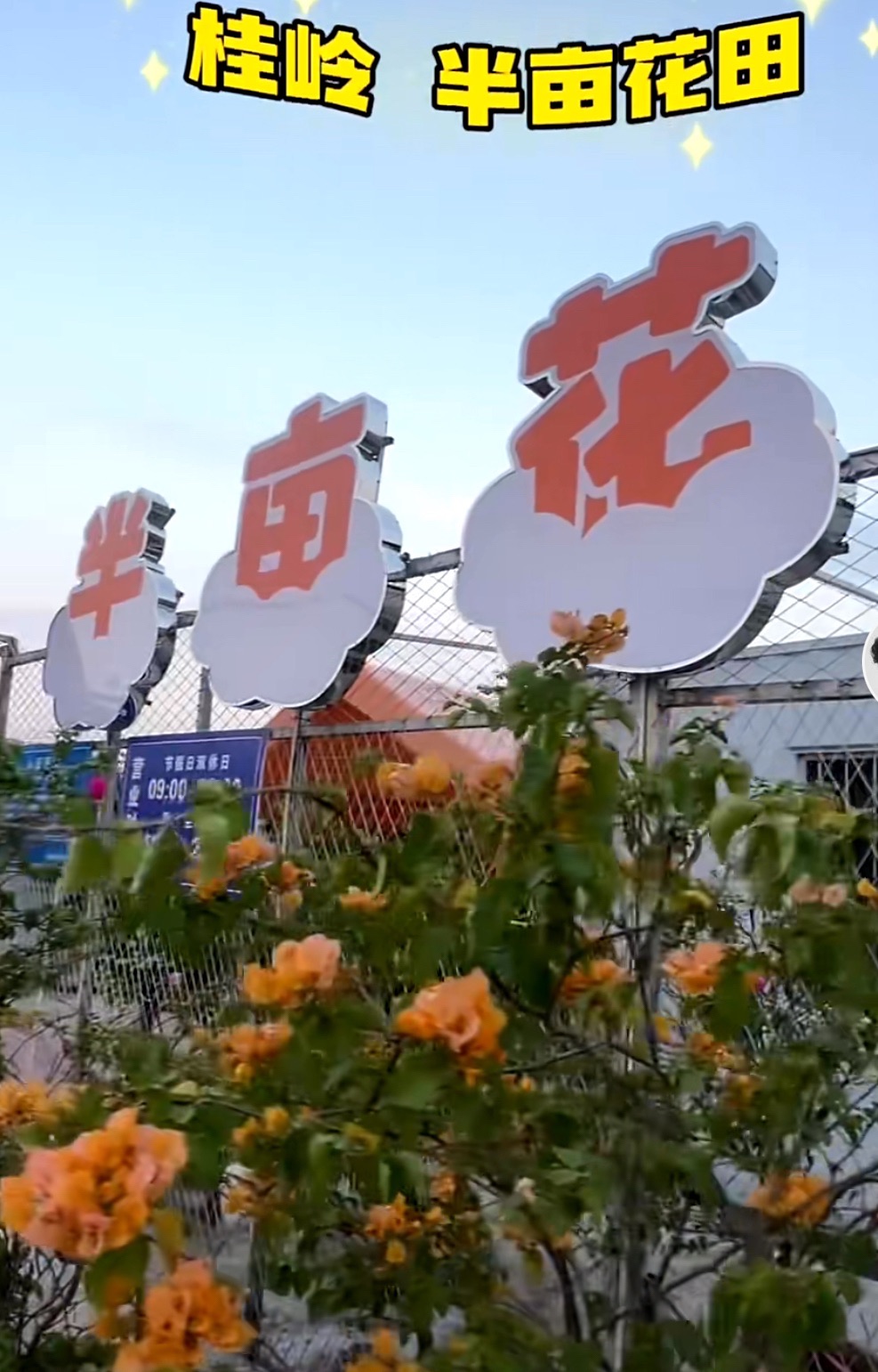 桂岭花田旅行图片 2