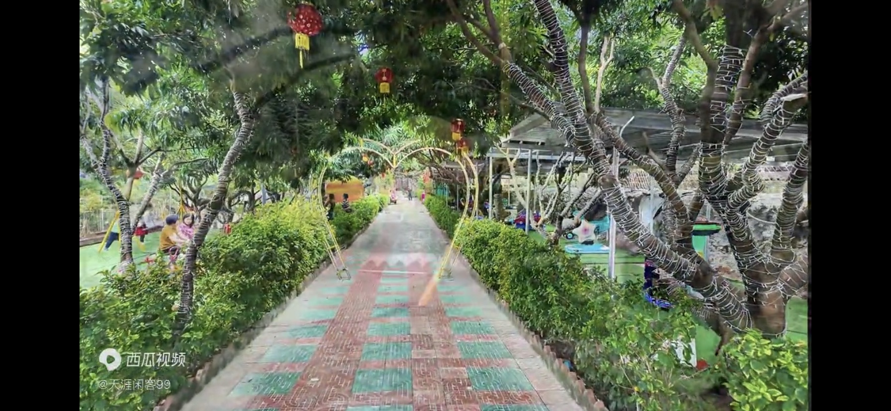 桂岭花田旅行图片 2