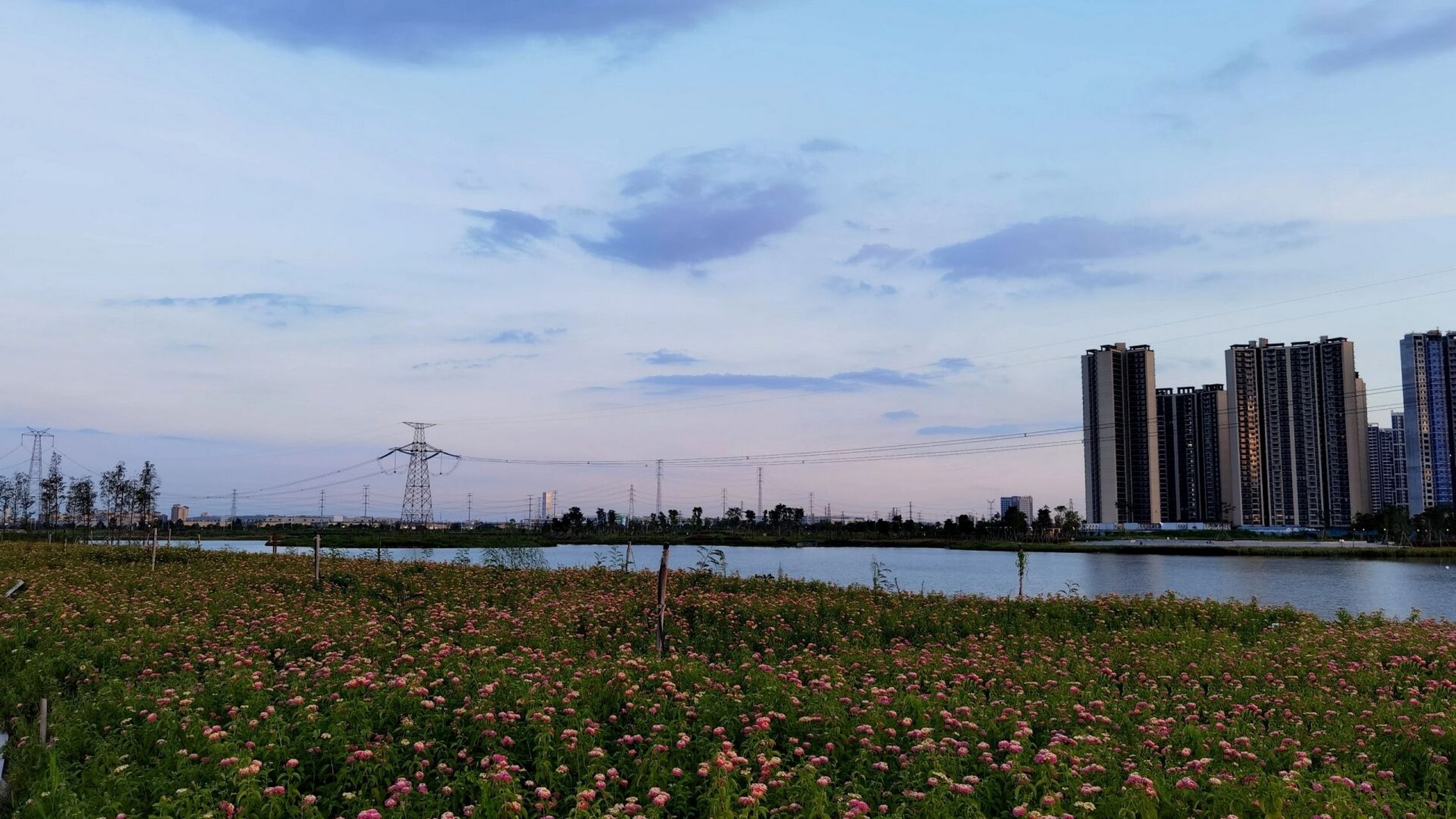 麒麟湖公园旅行图片 2