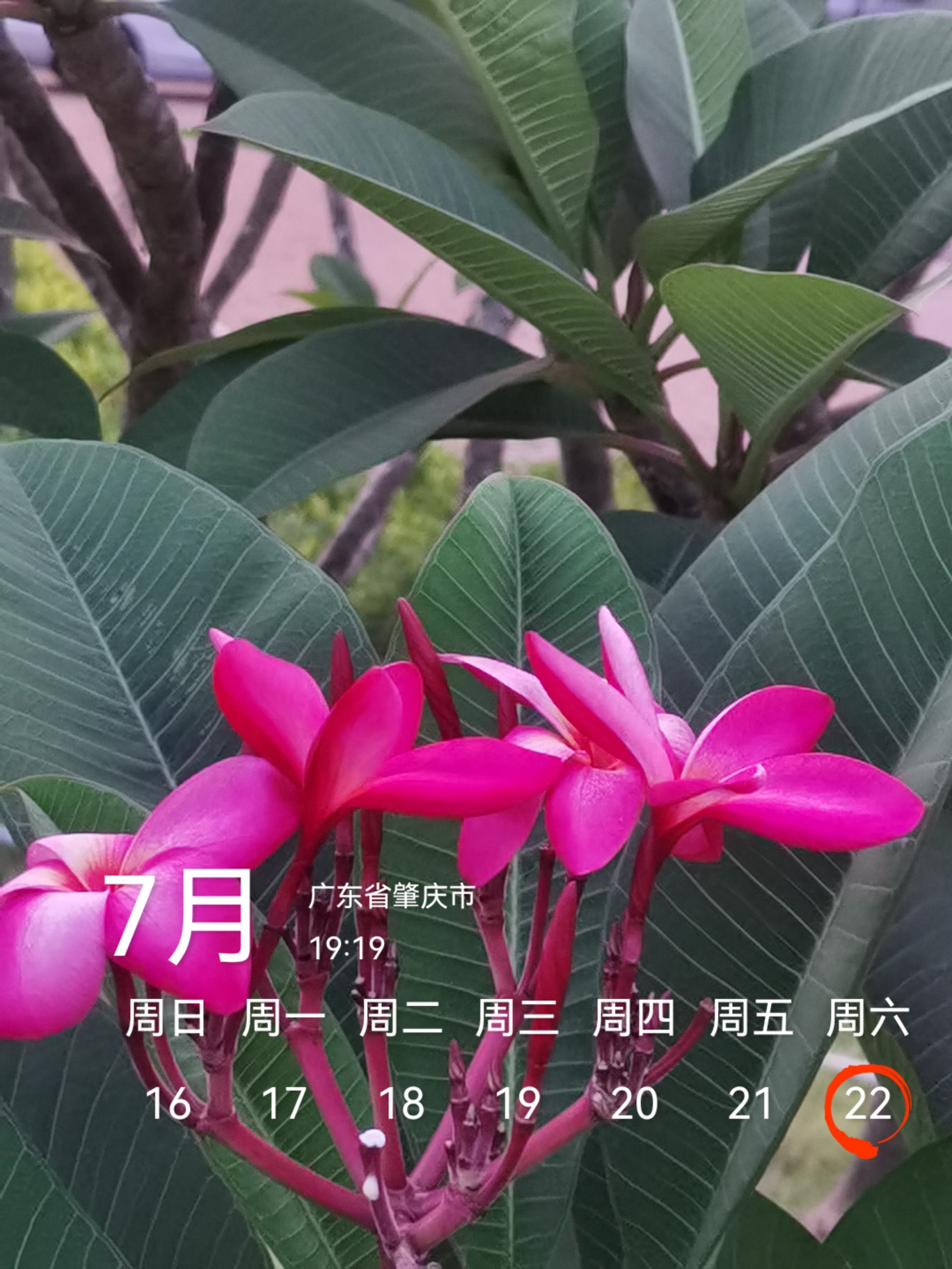 麒麟湖公园旅行图片 3