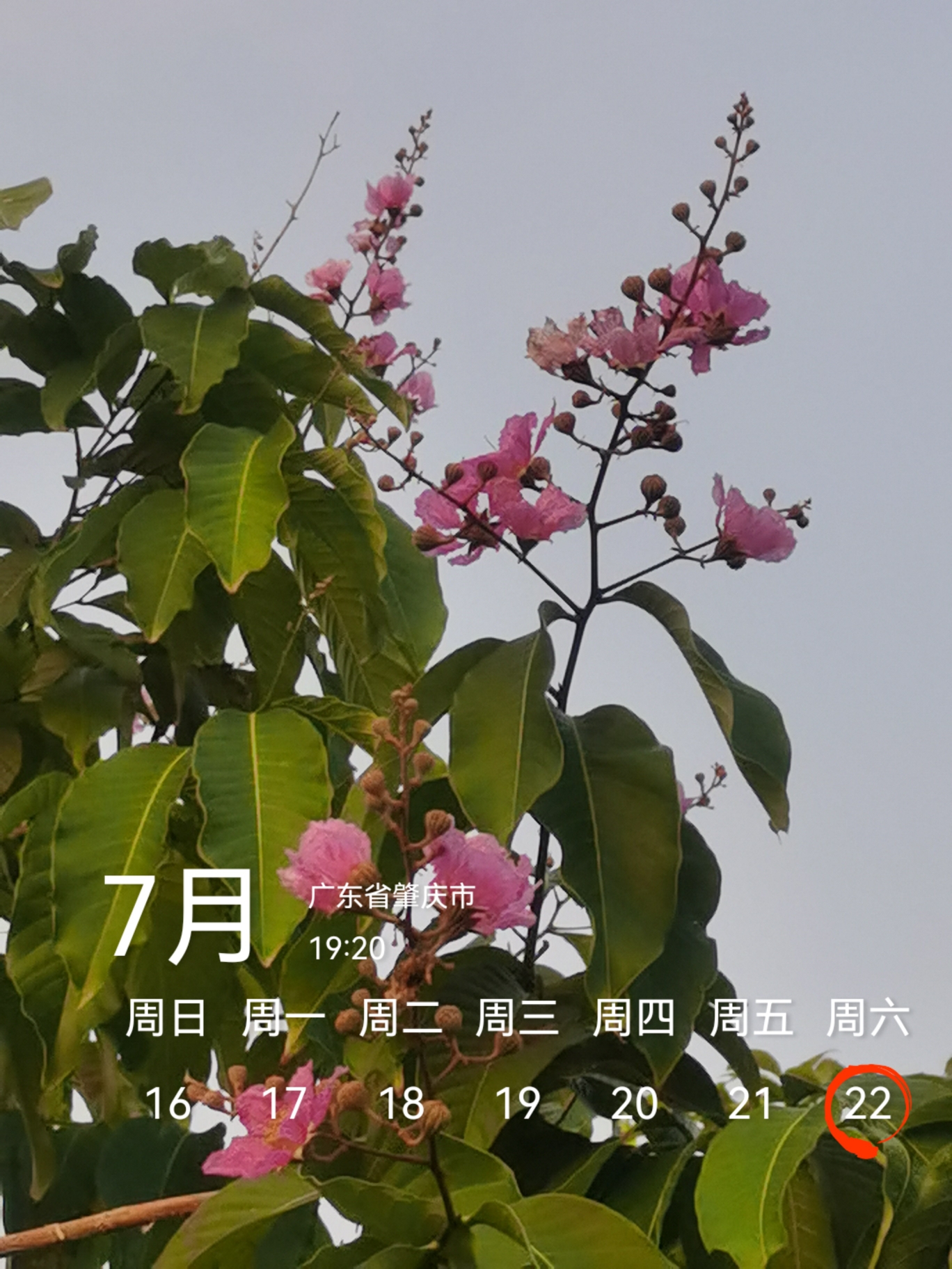 麒麟湖公园旅行图片 2
