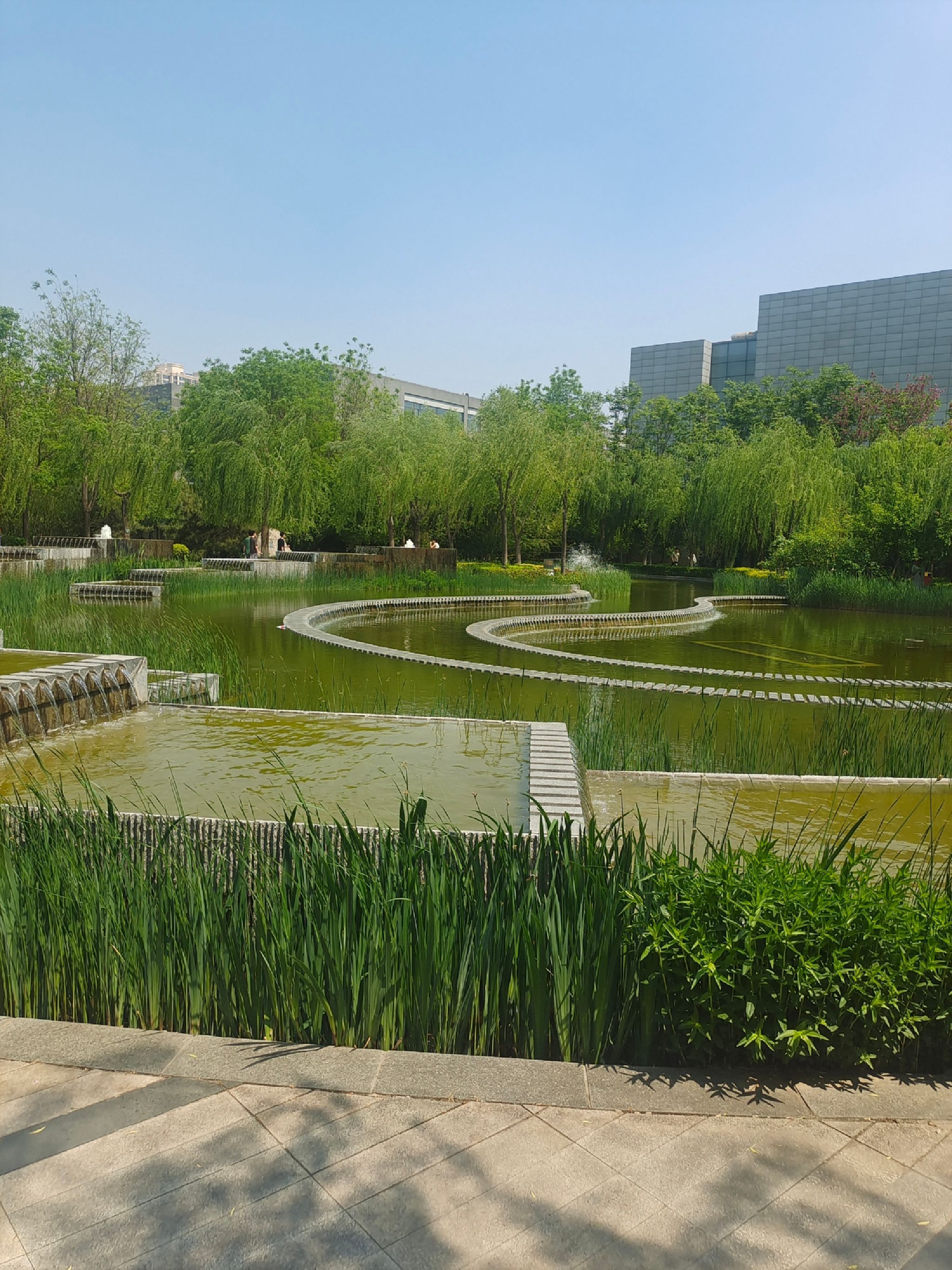 河北师范大学慧泉广场旅行图片 1