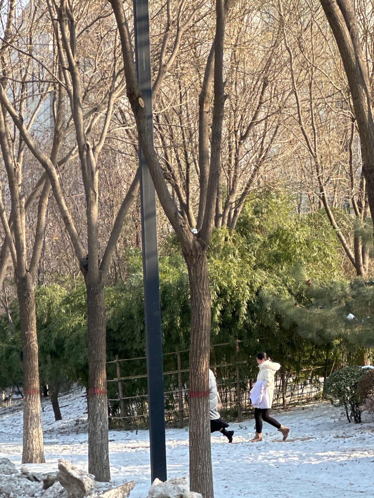河北师范大学慧泉广场旅行图片 3