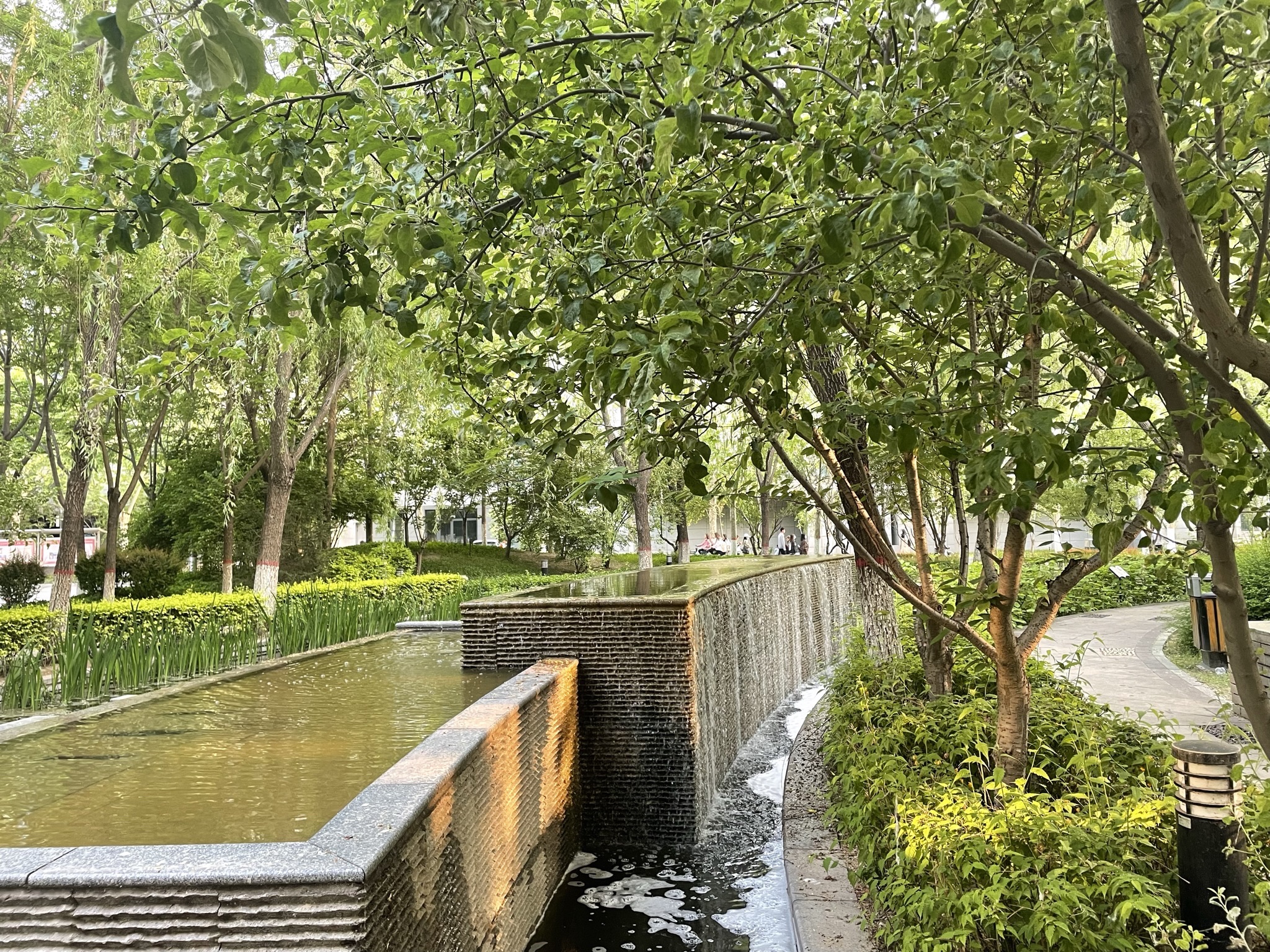 河北师范大学慧泉广场旅行图片 1
