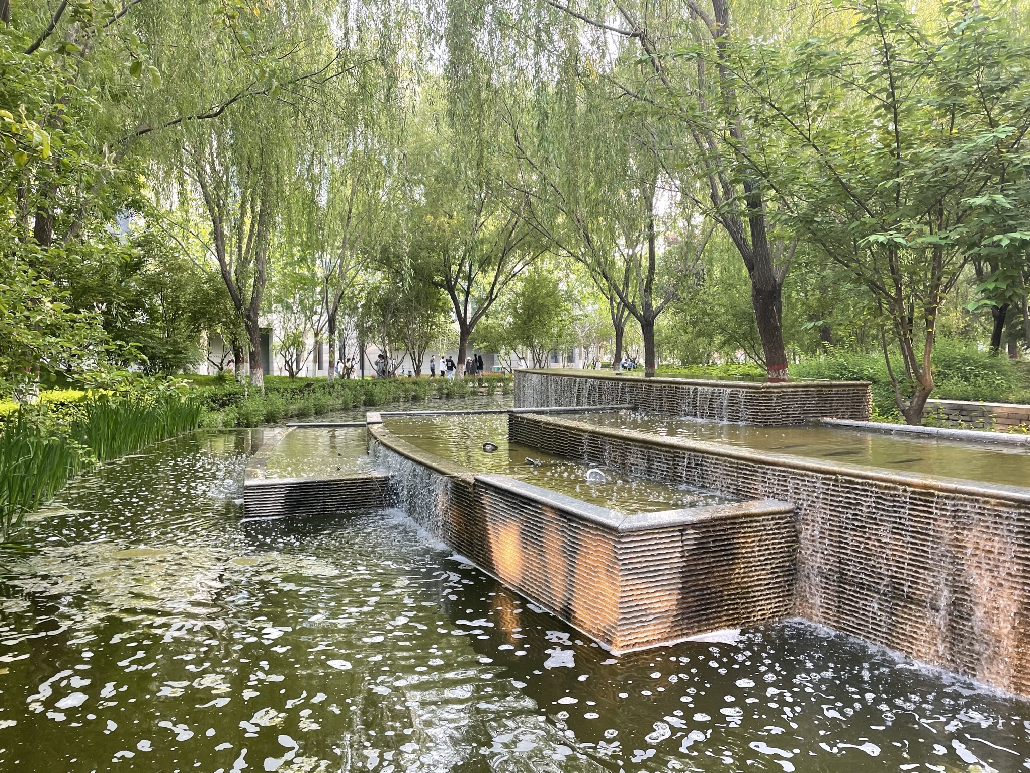 河北师范大学慧泉广场旅行图片 2