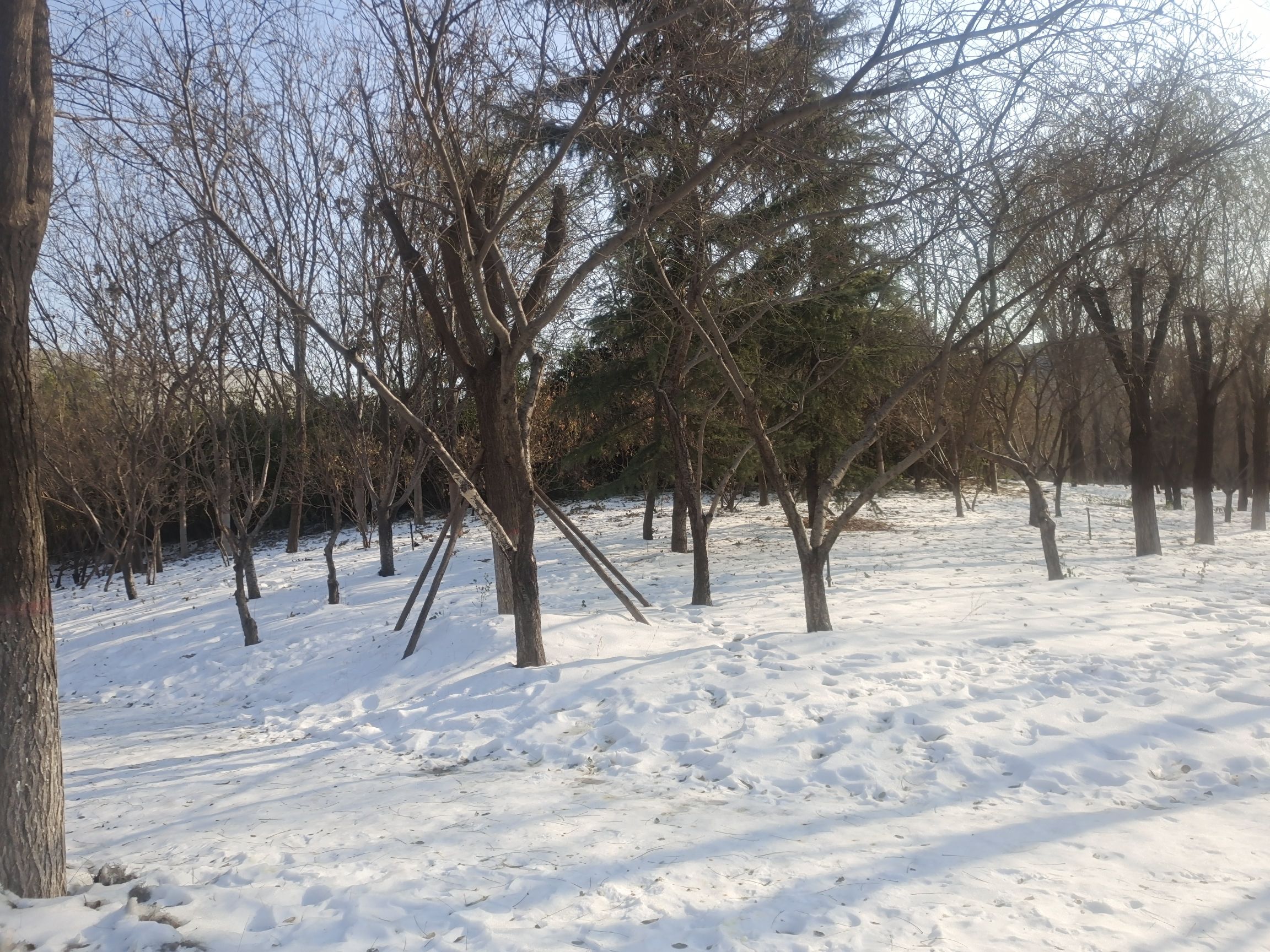 河北师范大学慧泉广场旅行图片 2