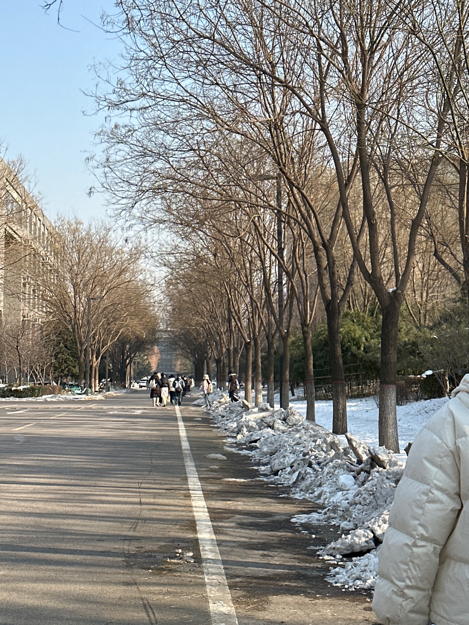 河北师范大学慧泉广场旅行图片 2