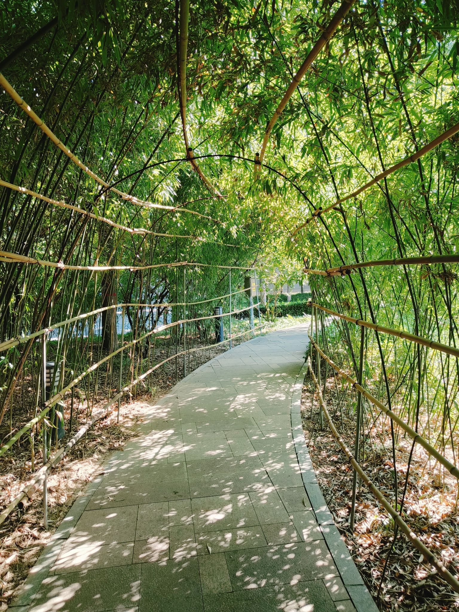 河北师范大学慧泉广场旅行图片 3
