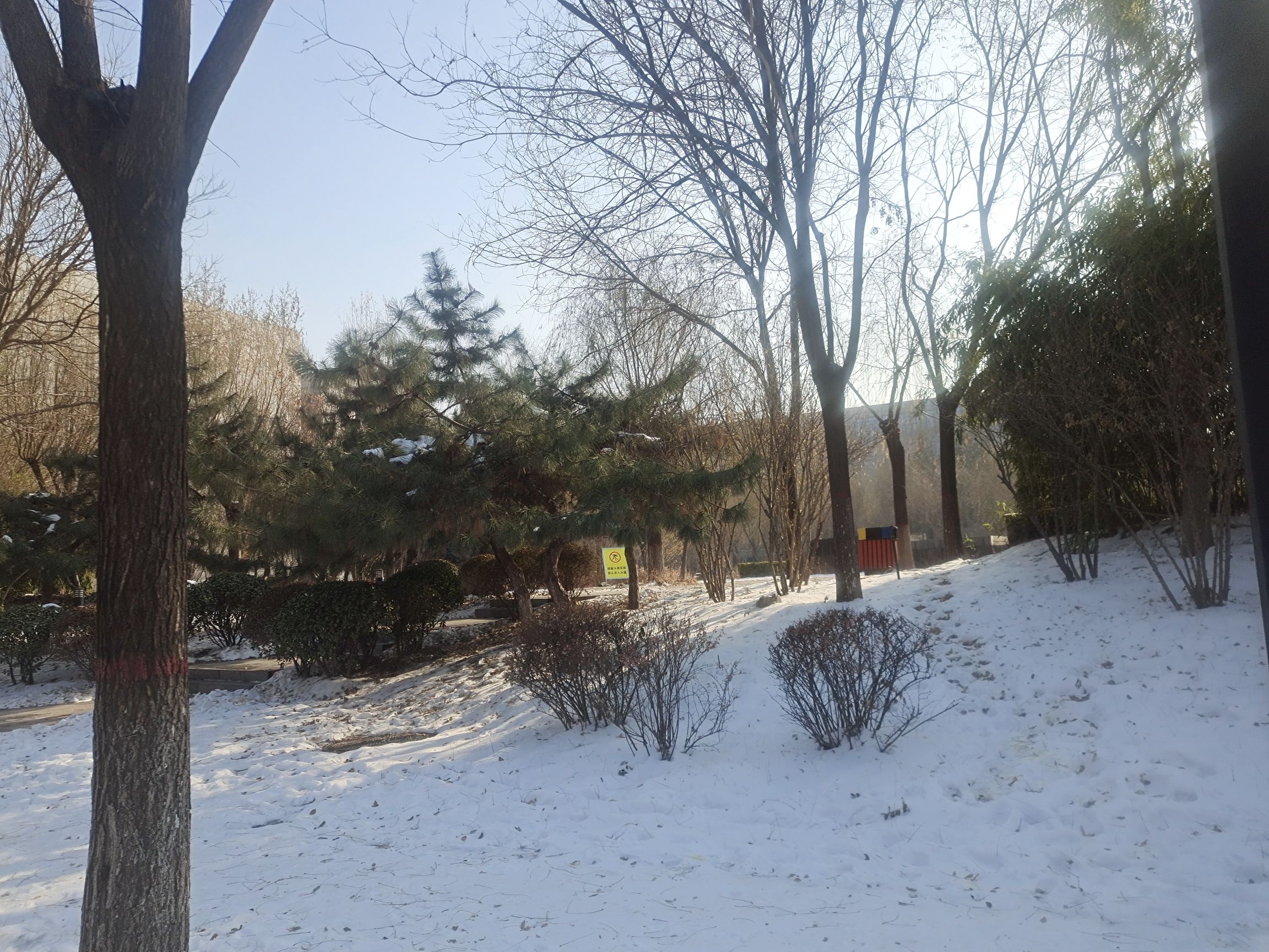 河北师范大学慧泉广场旅行图片 1