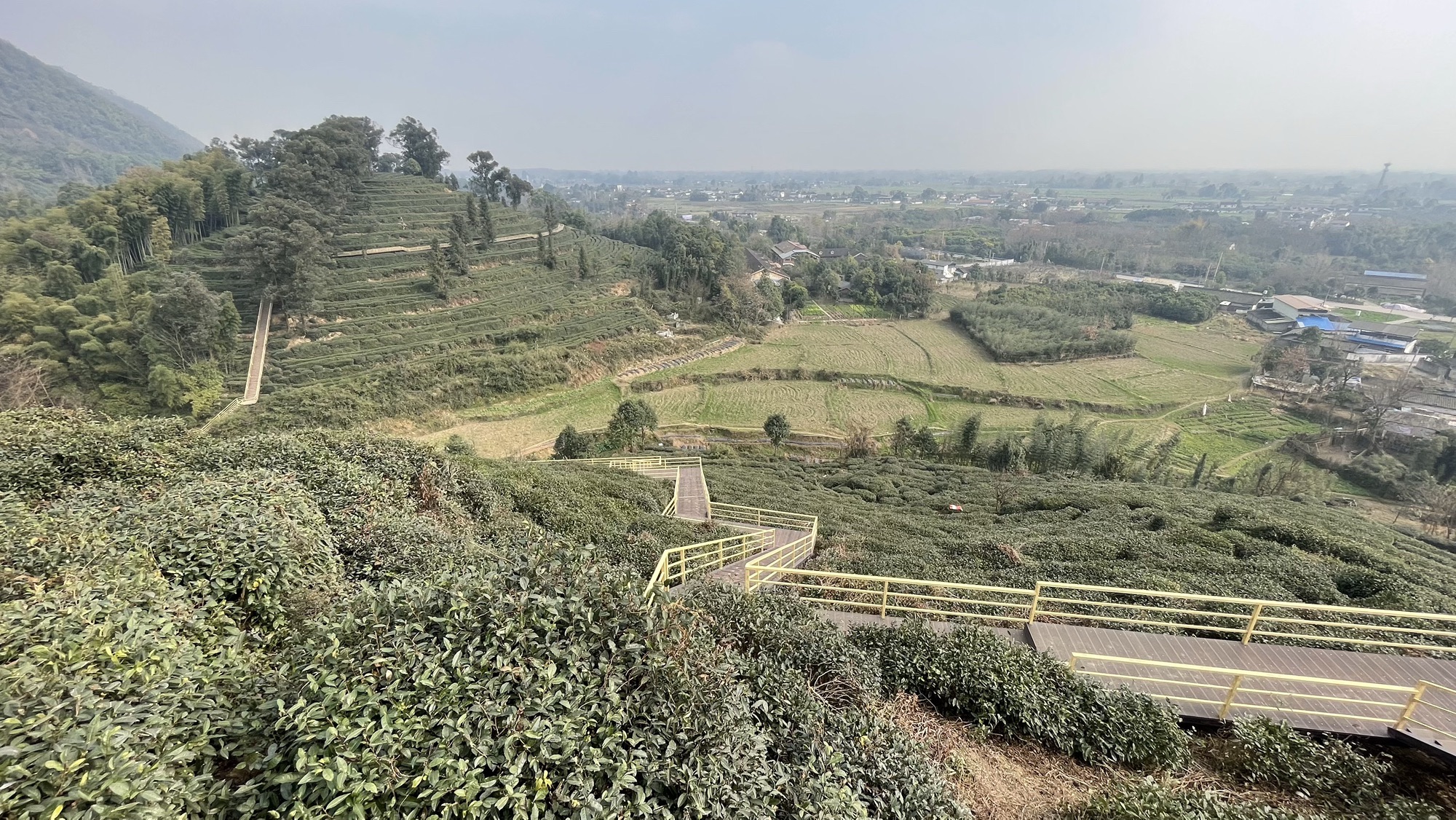茶仙谷旅行图片 2