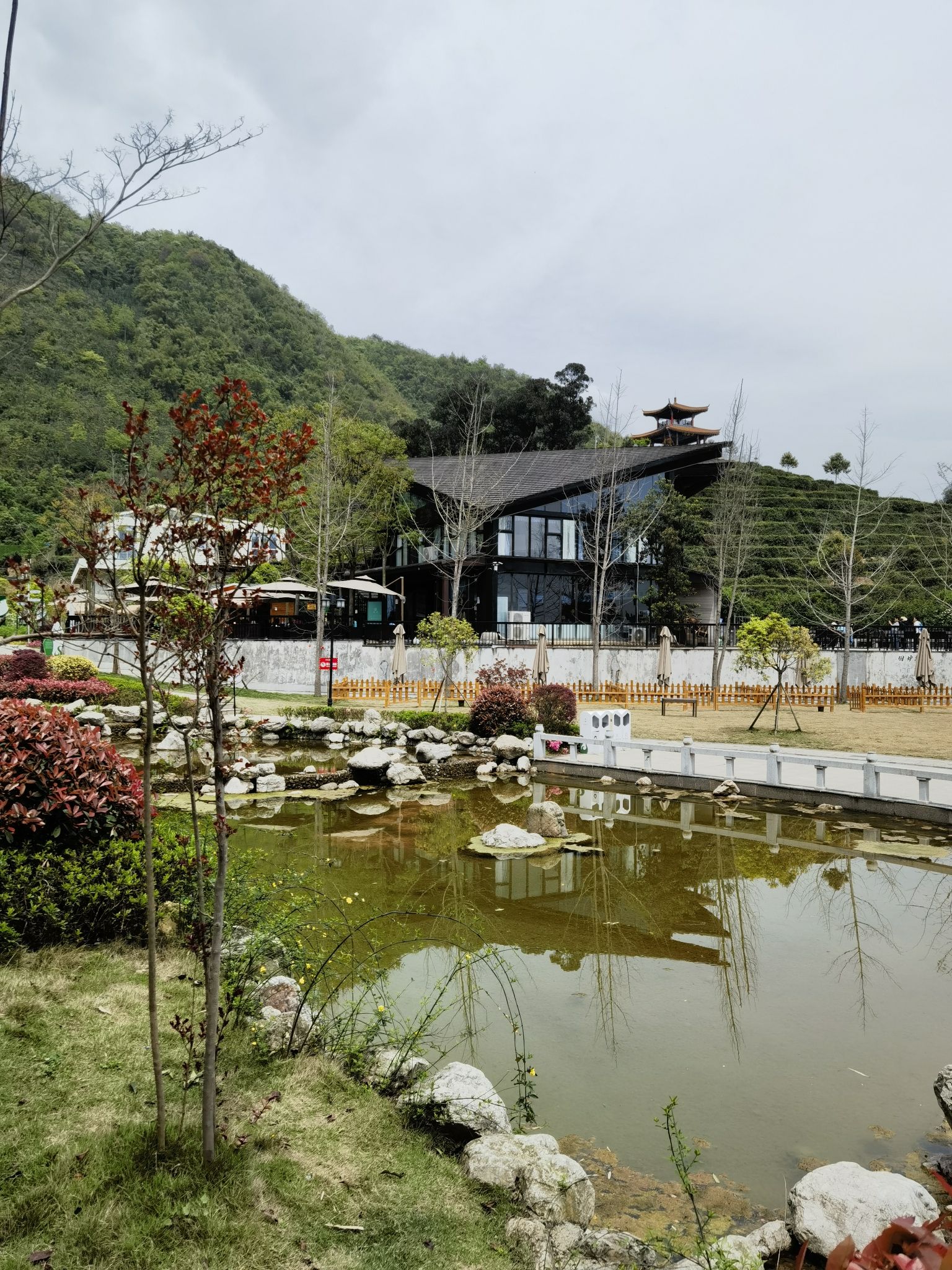 茶仙谷旅行图片 2