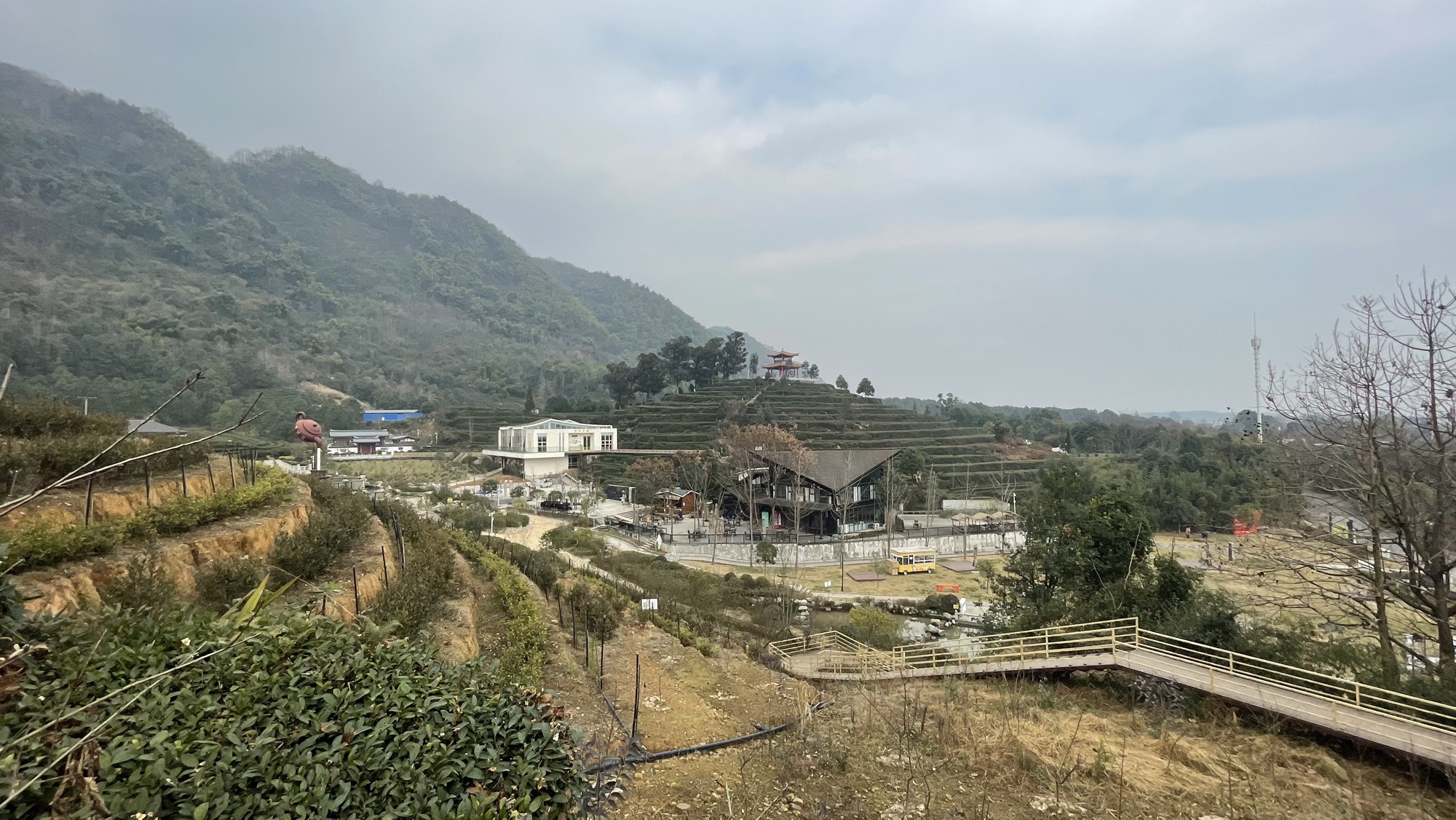 茶仙谷旅行图片 1