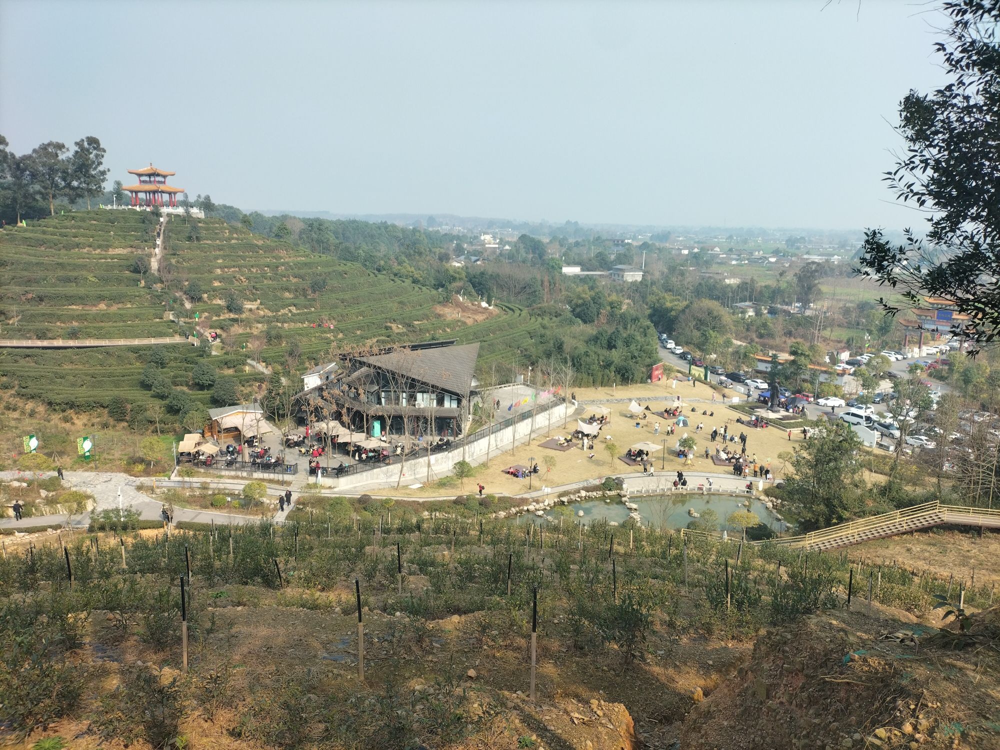茶仙谷旅行图片 3