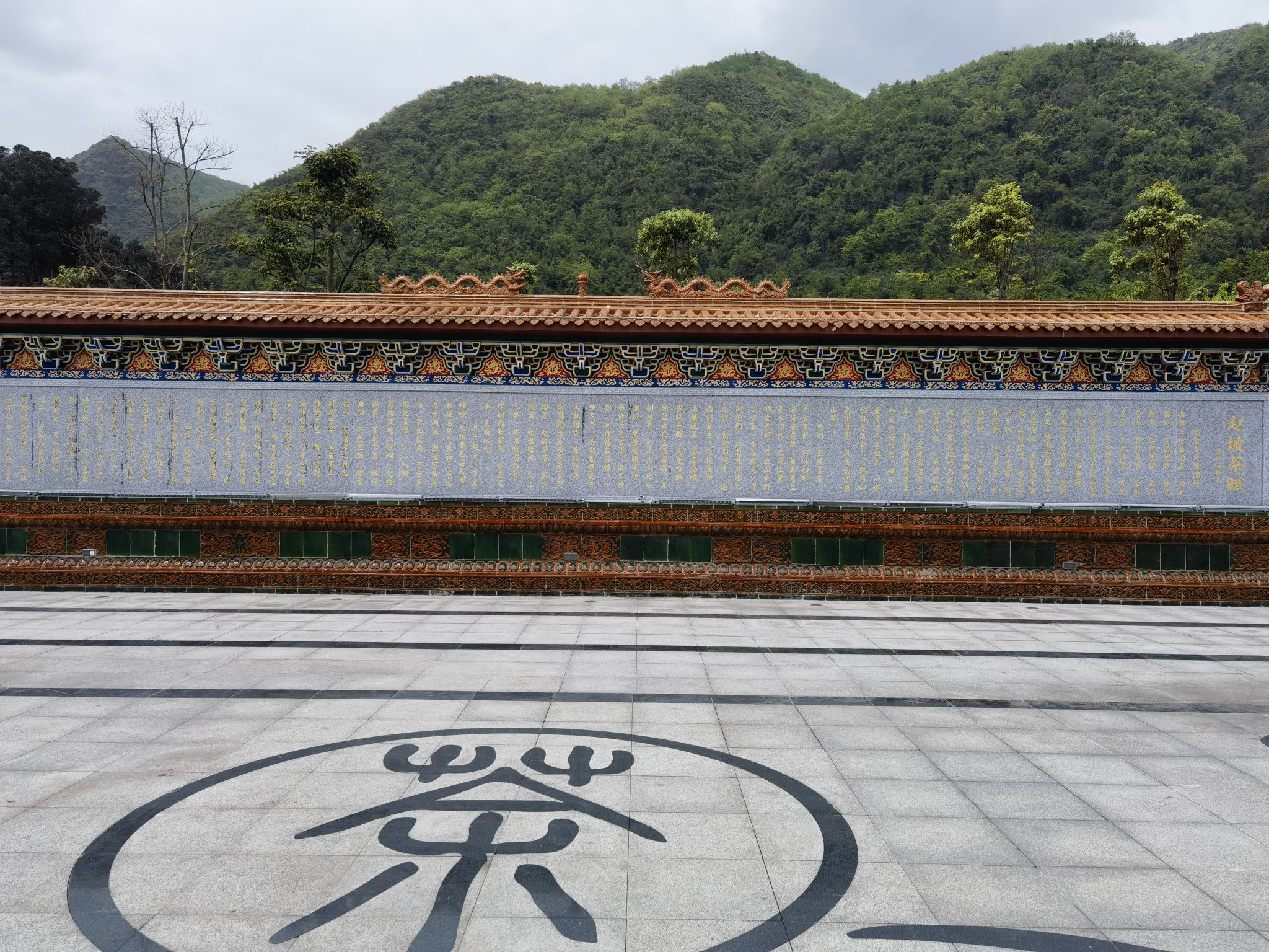 茶仙谷旅行图片 1