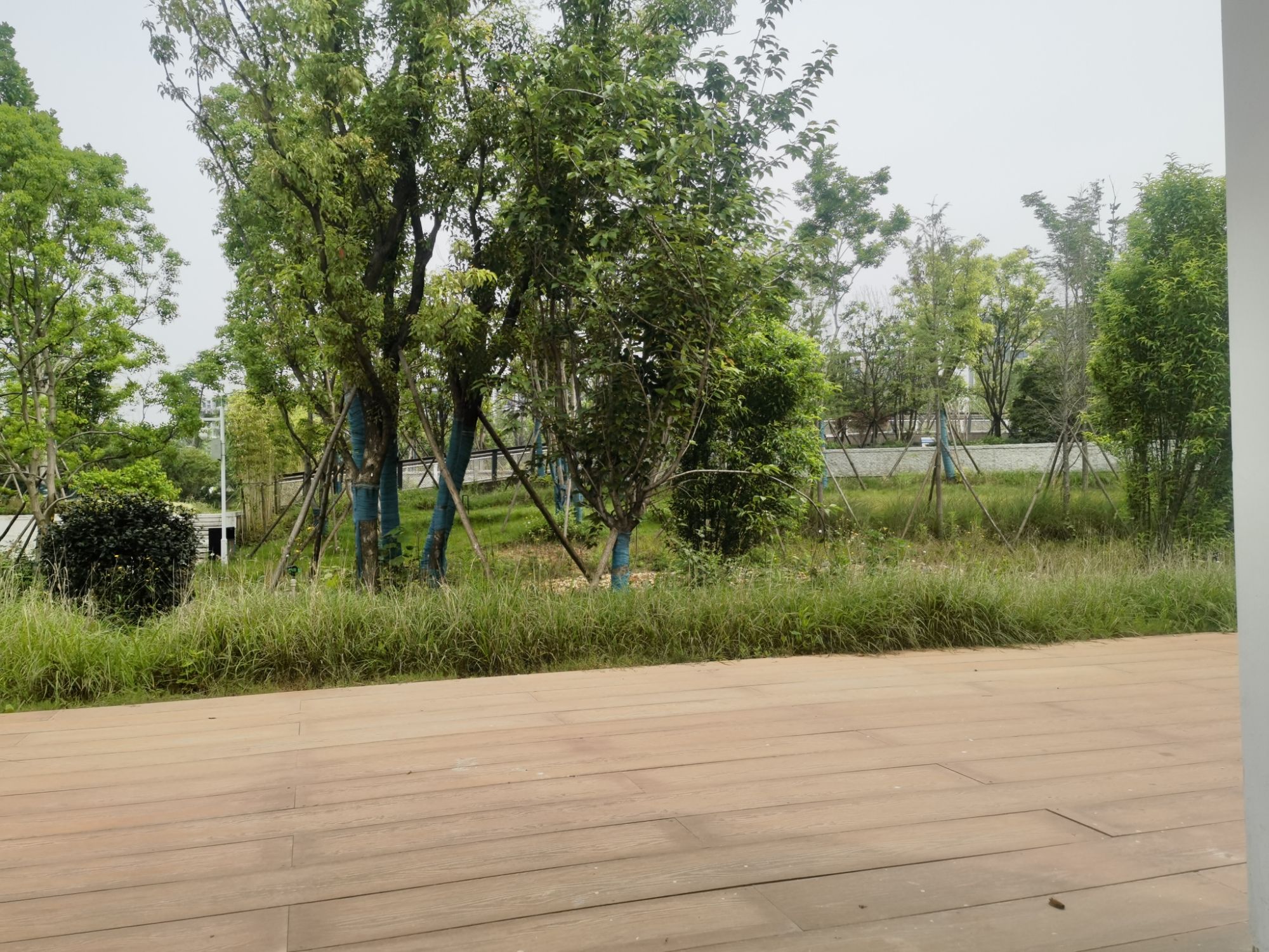 航天航空主题公园旅行图片 1
