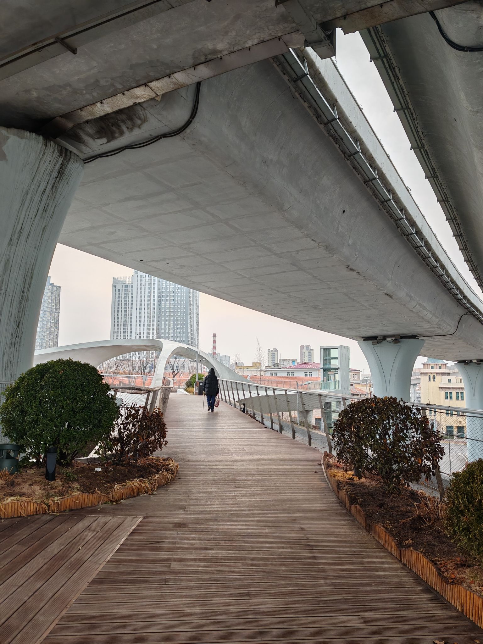 浮岛公园旅行图片 2