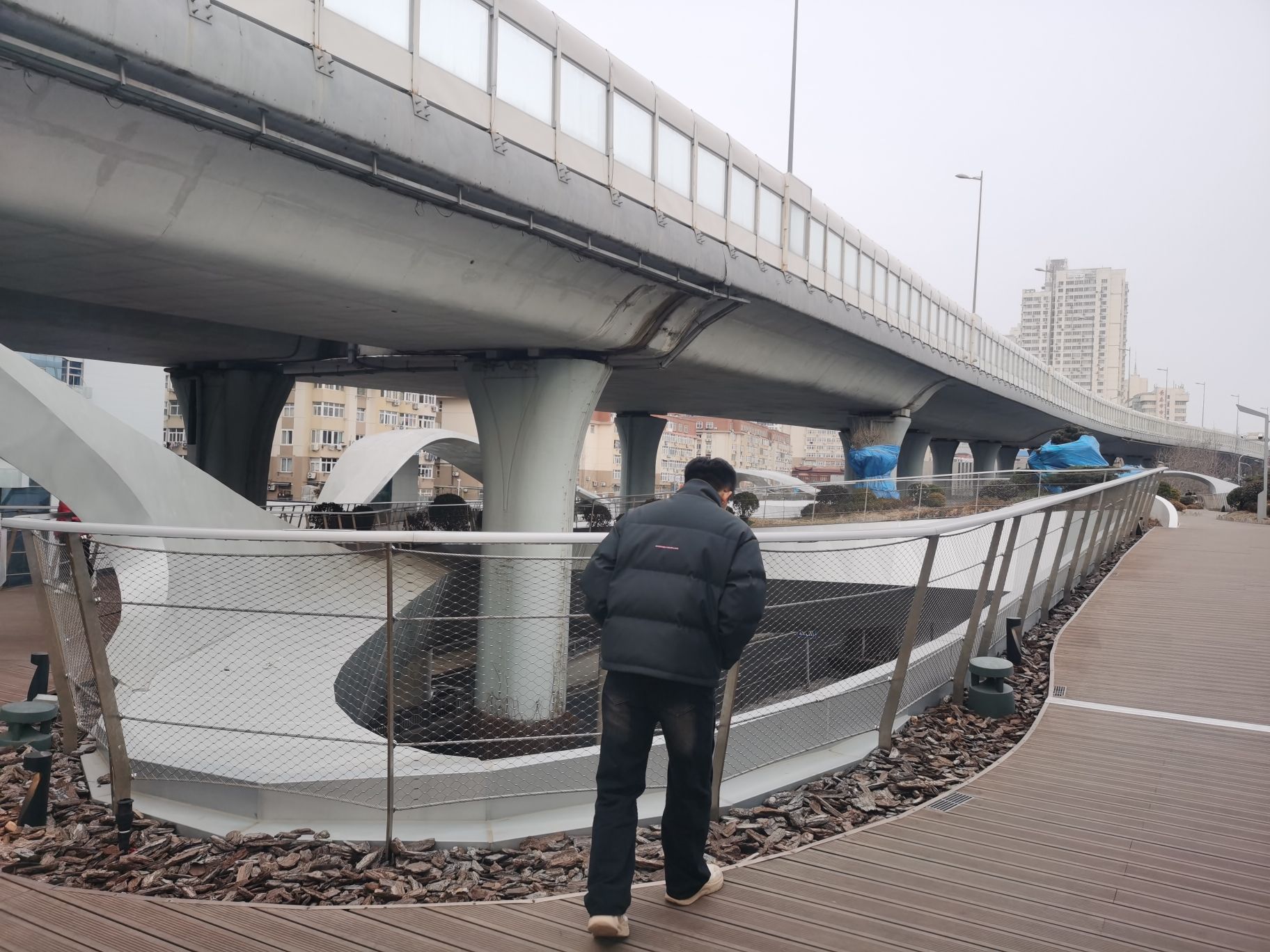 浮岛公园旅行图片 2