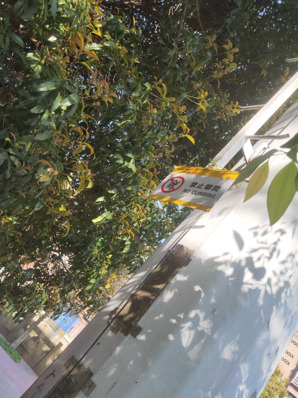 江家坝子(花田迷宫)旅行图片 2