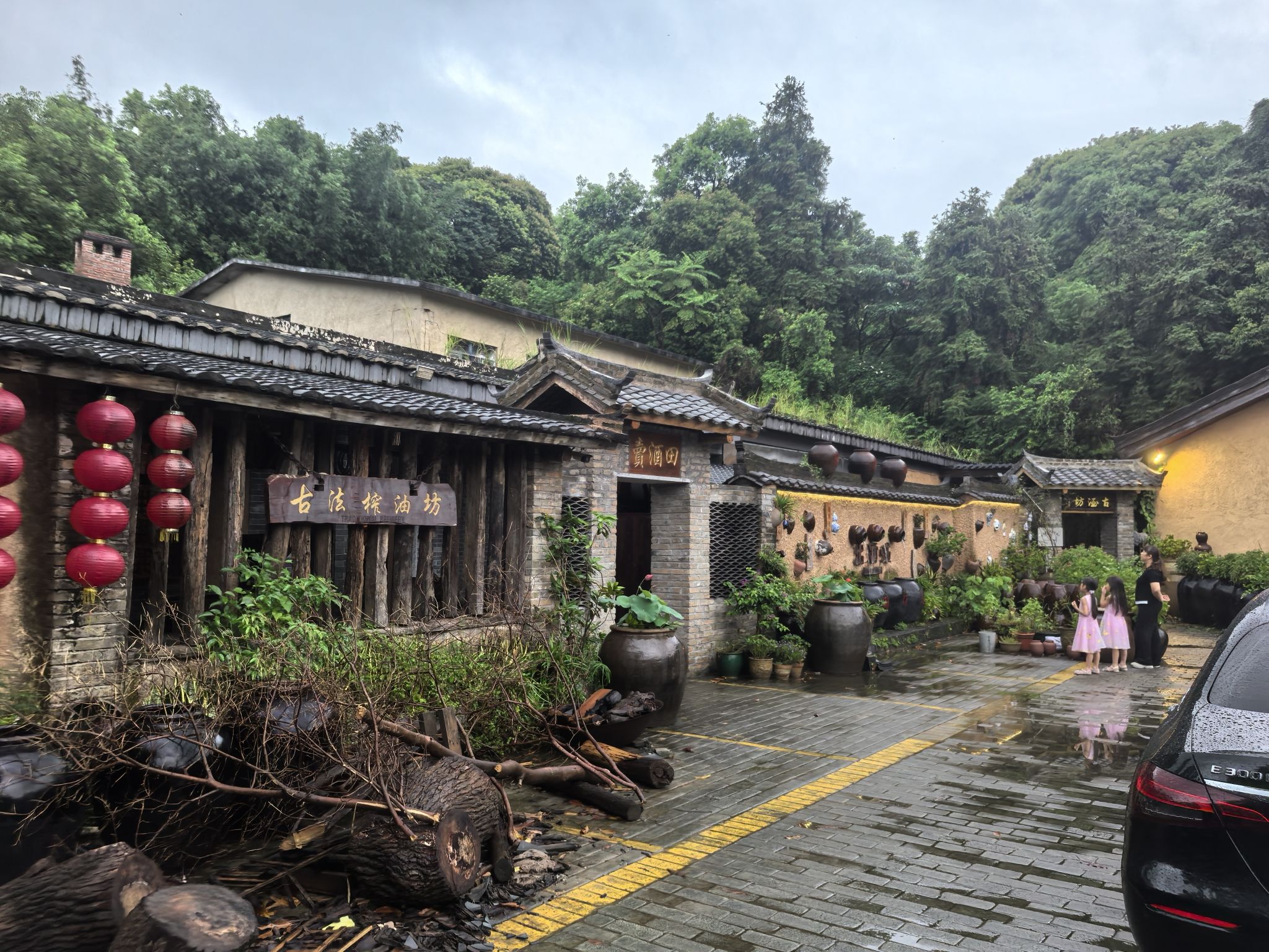清水湖景区旅行图片 2