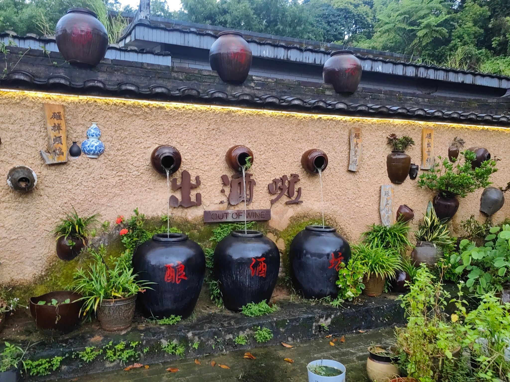 清水湖景区旅行图片 1