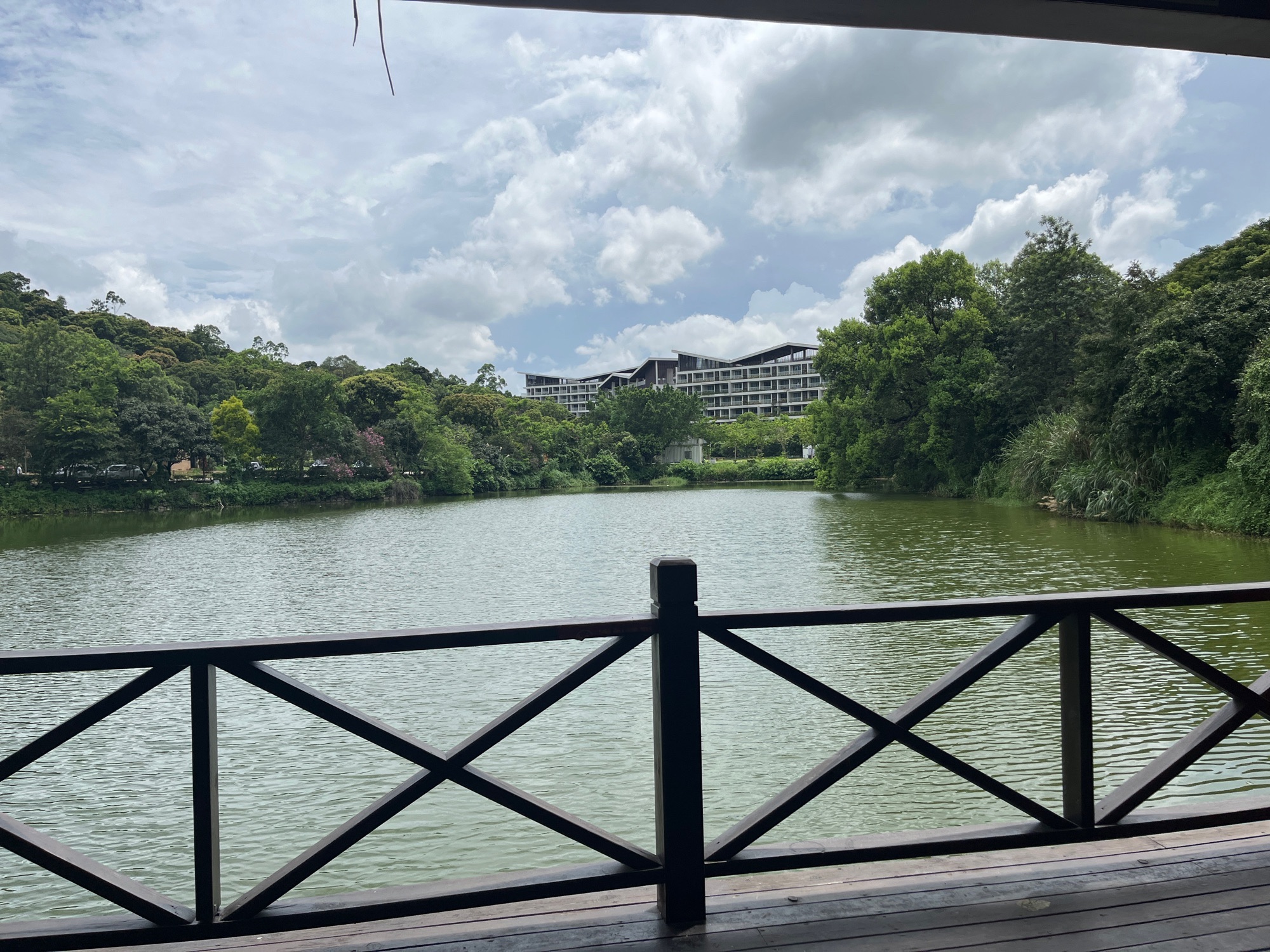清水湖景区旅行图片 1