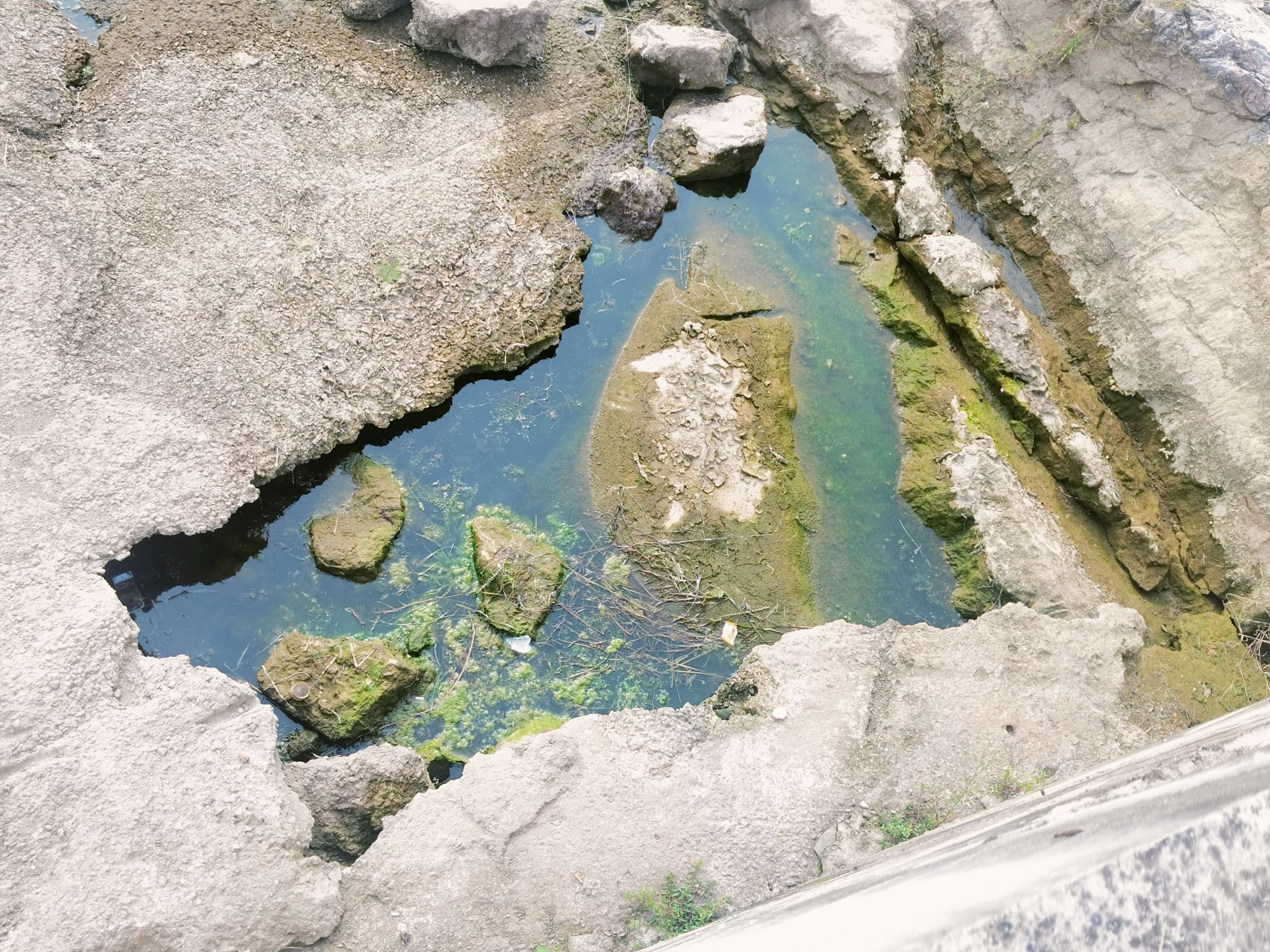 月亮湾旅行图片 1