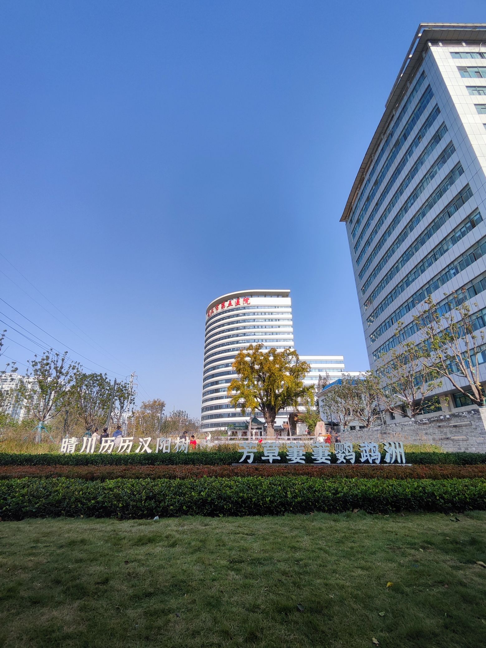 汉阳树公园旅行图片 3