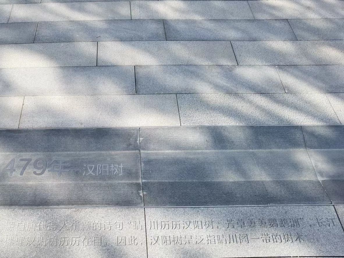汉阳树公园旅行图片 3