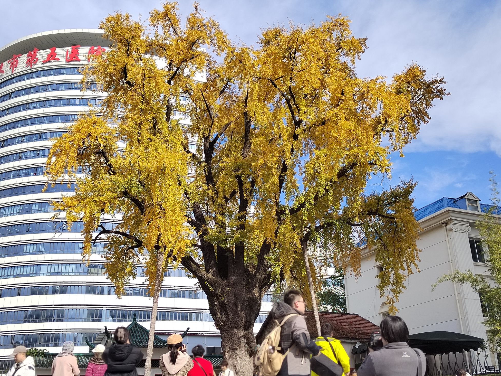 汉阳树公园旅行图片 1
