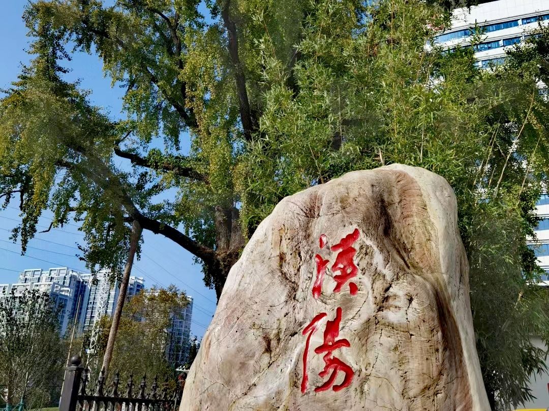 汉阳树公园旅行图片 2