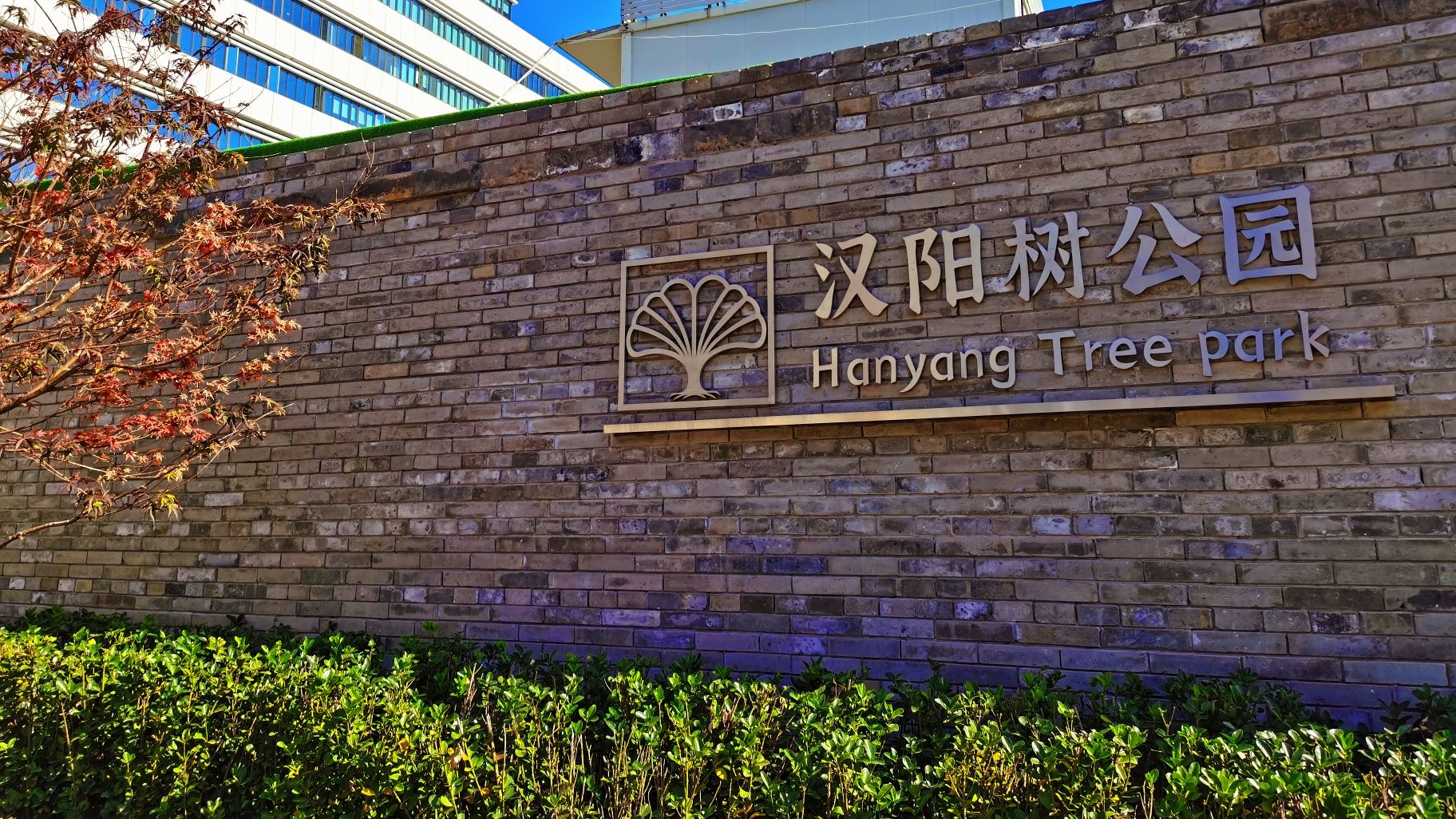 汉阳树公园旅行图片 1