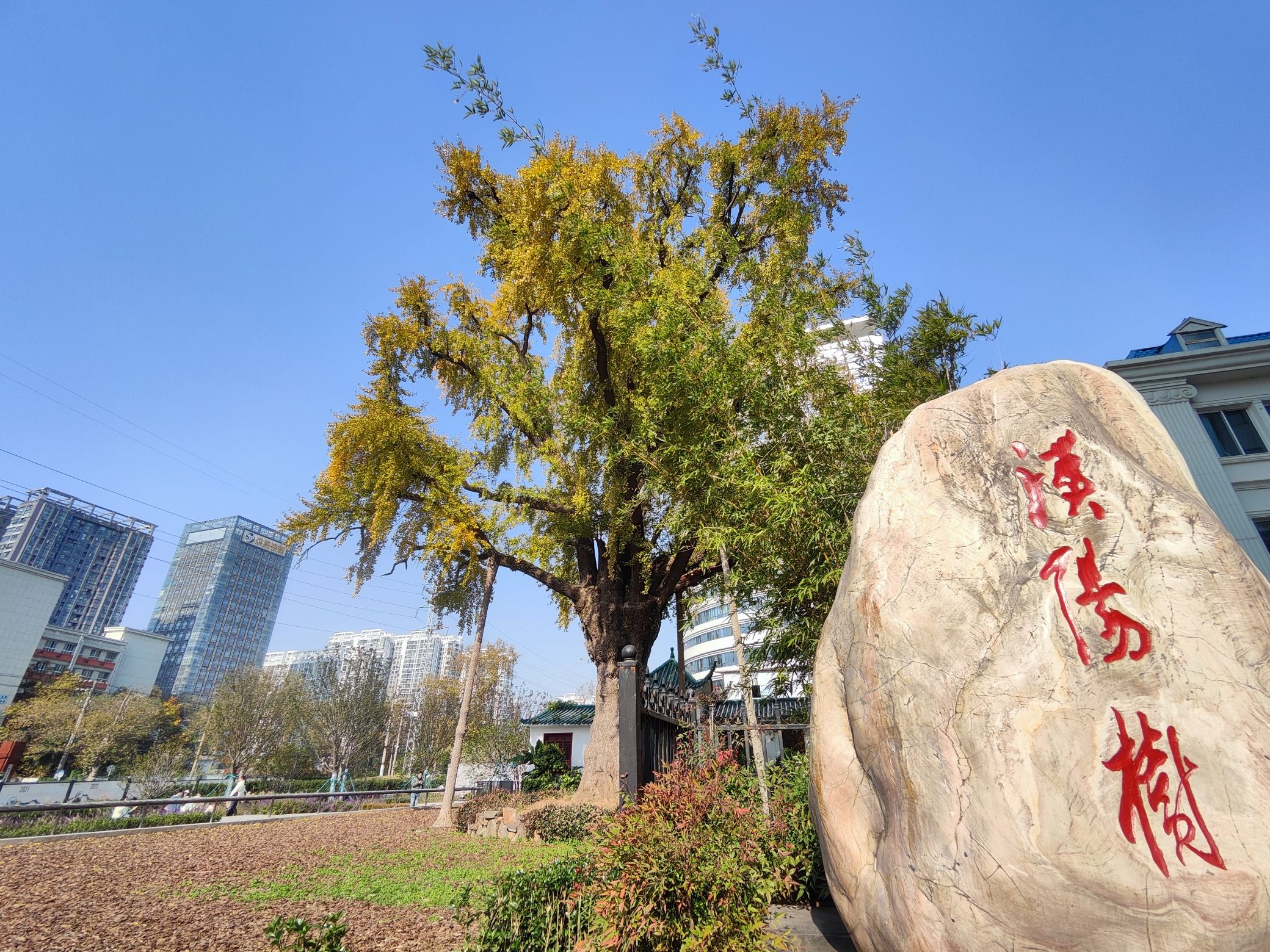 汉阳树公园旅行图片 1
