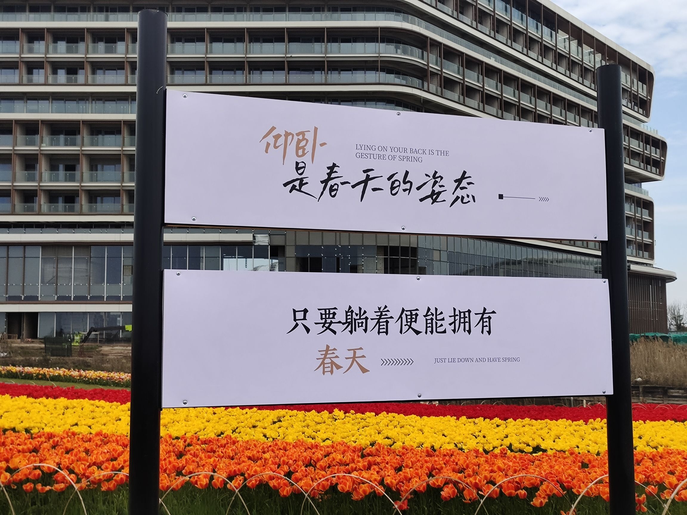 海上明月郁金香花博会旅行图片 3