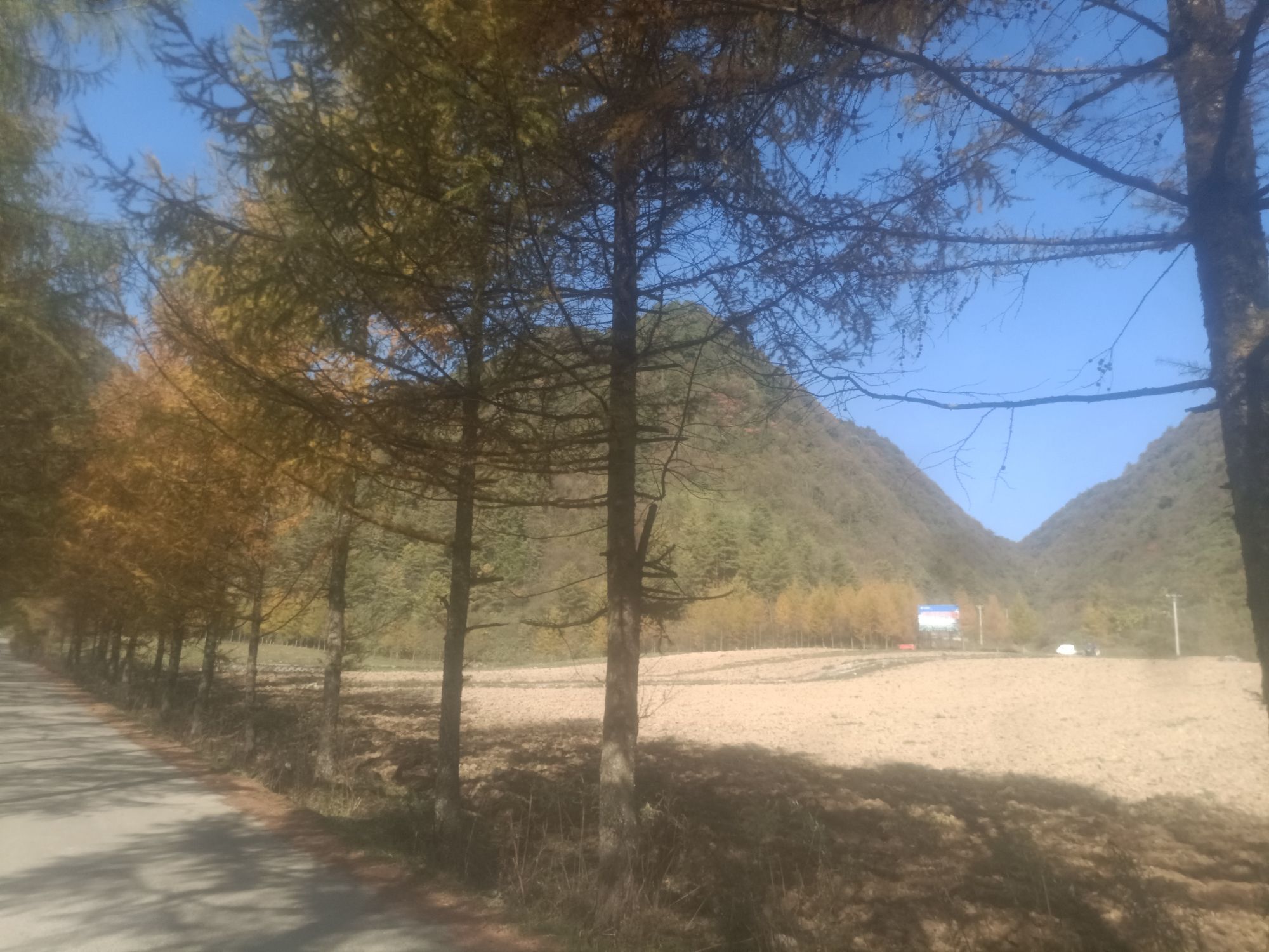 黑草坝旅行图片 3