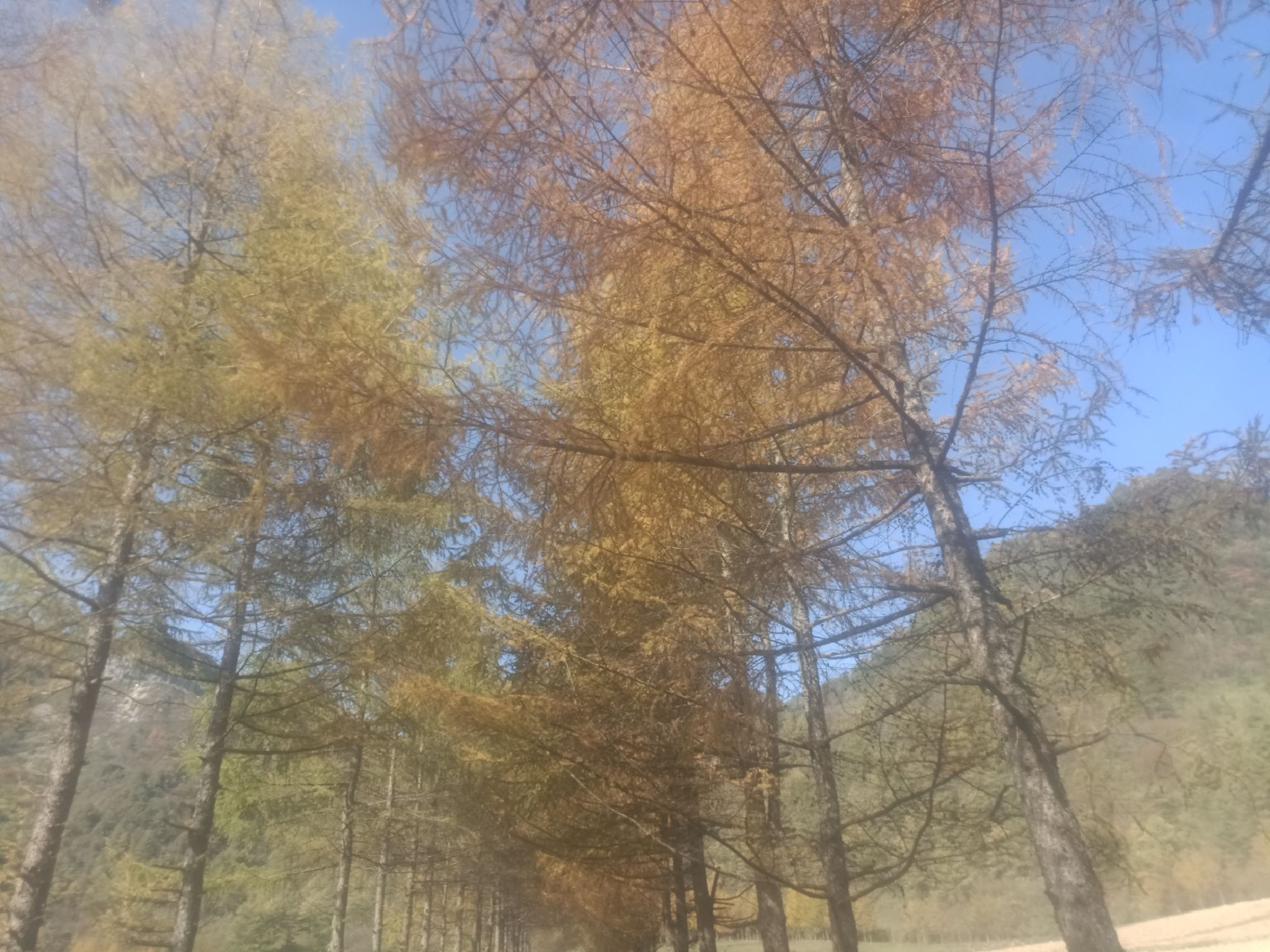 黑草坝旅行图片 2