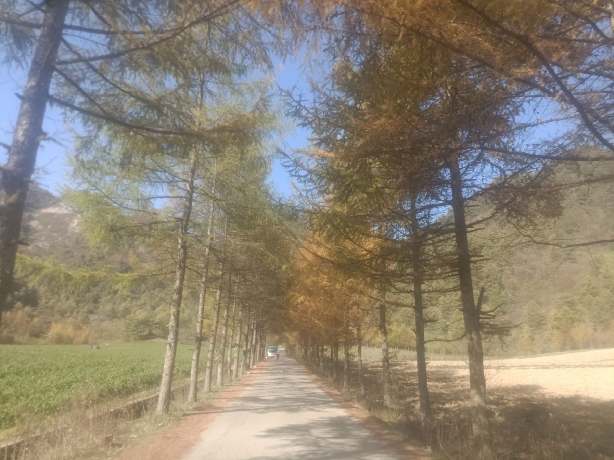 黑草坝旅行图片 1