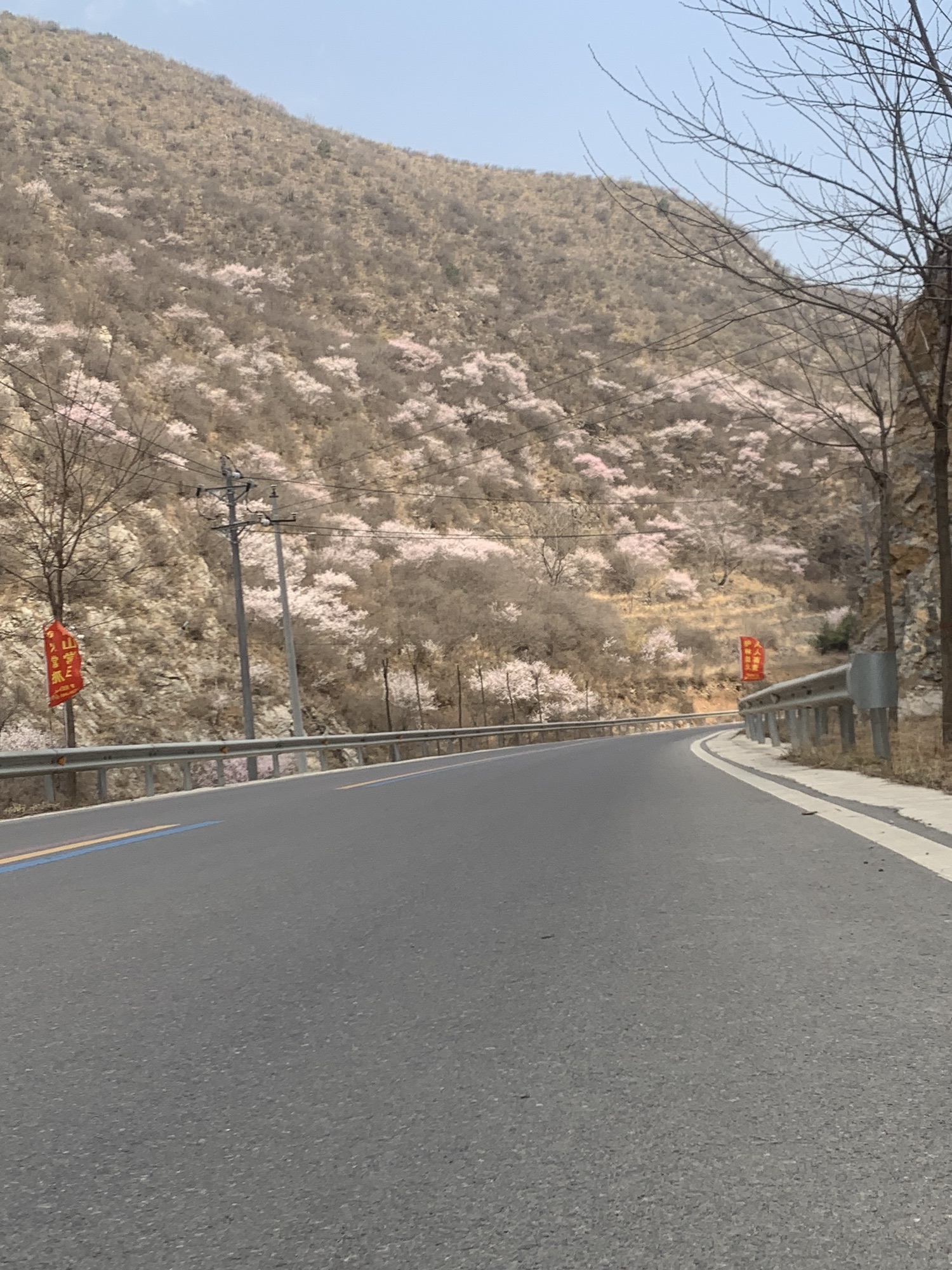 宝上路观景台旅行图片 1