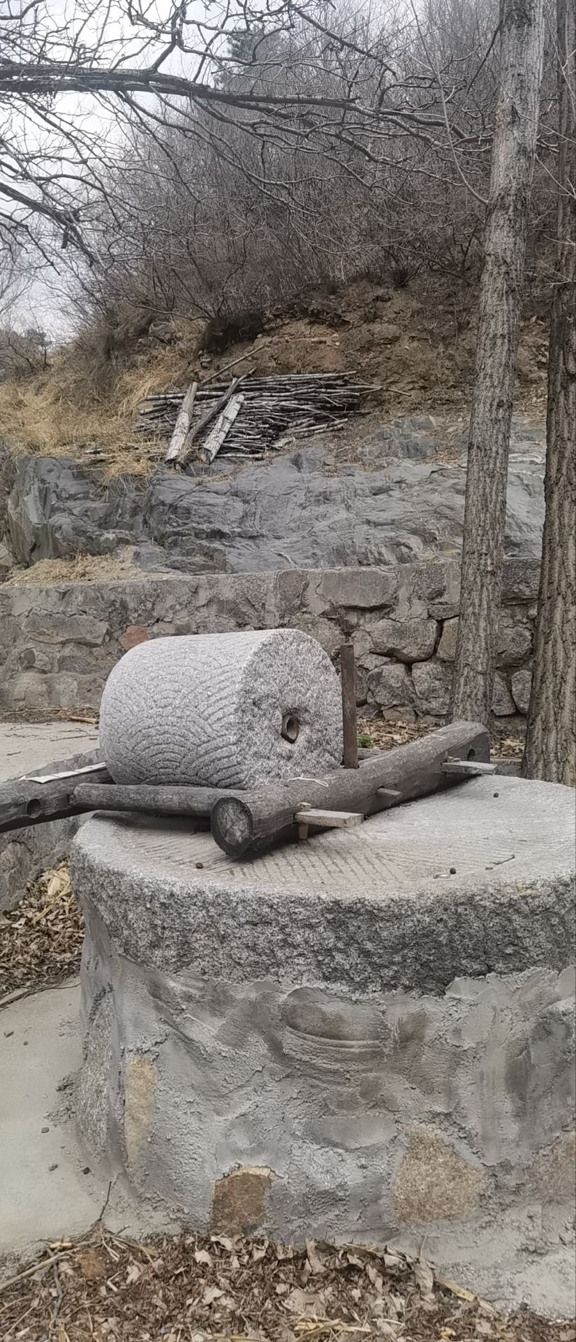 万里长城(乌龙沟段)(暂停开放)旅行图片 1