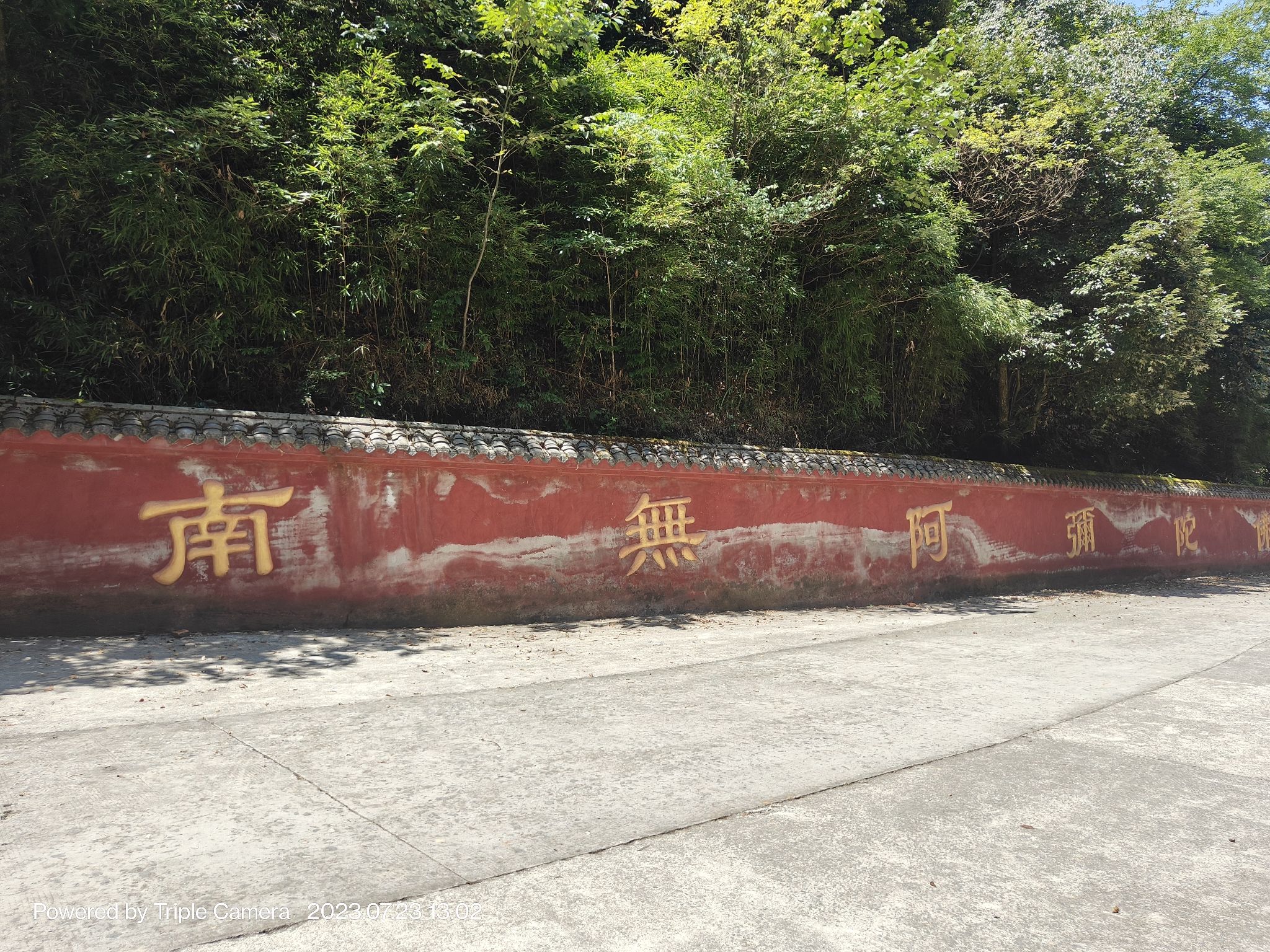 云雾山风景名胜区旅行图片 1