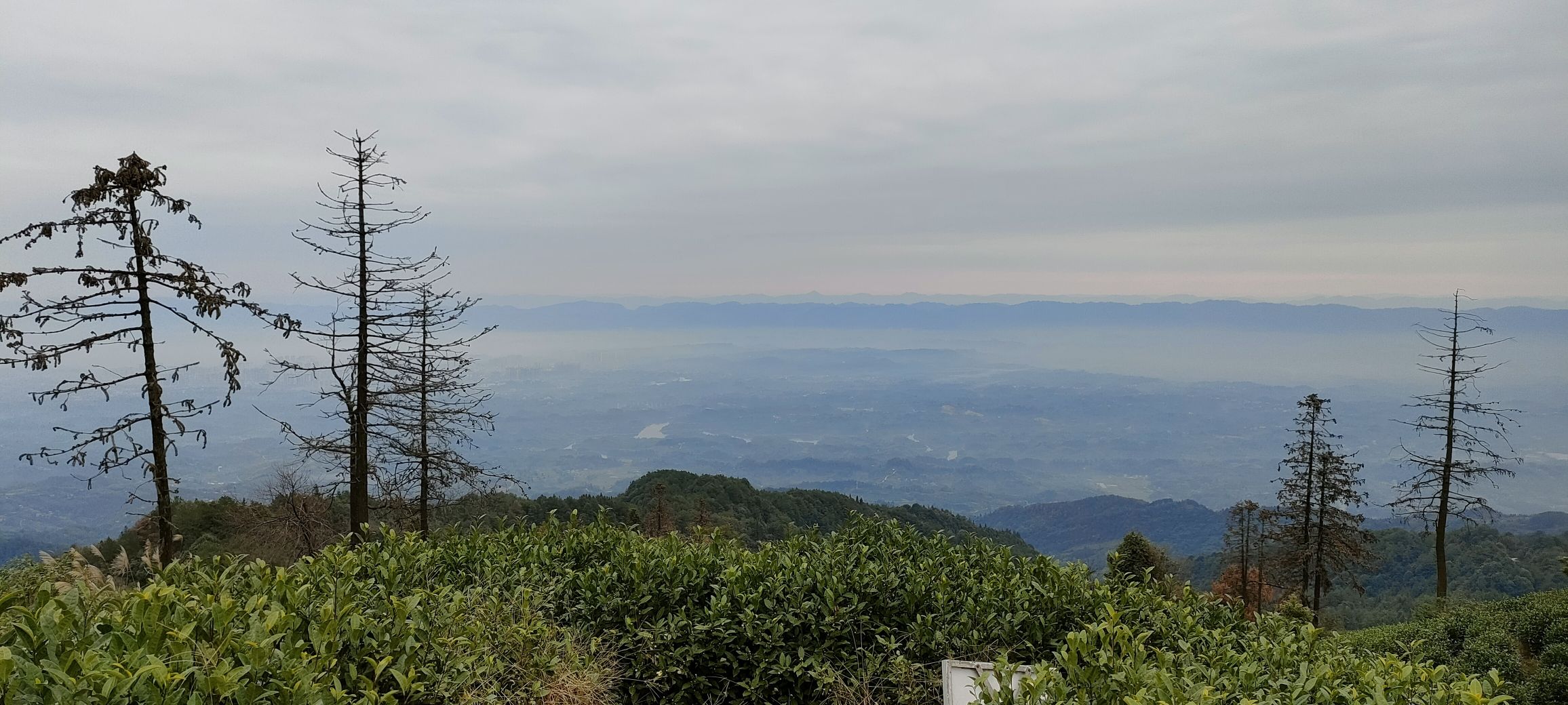 云雾山风景名胜区旅行图片 2