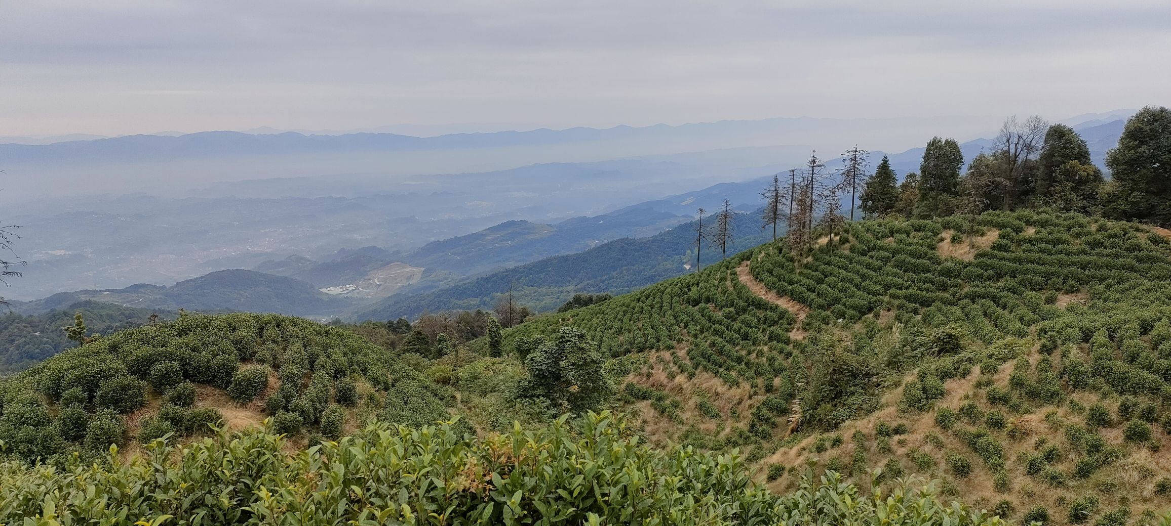 云雾山风景名胜区旅行图片 1