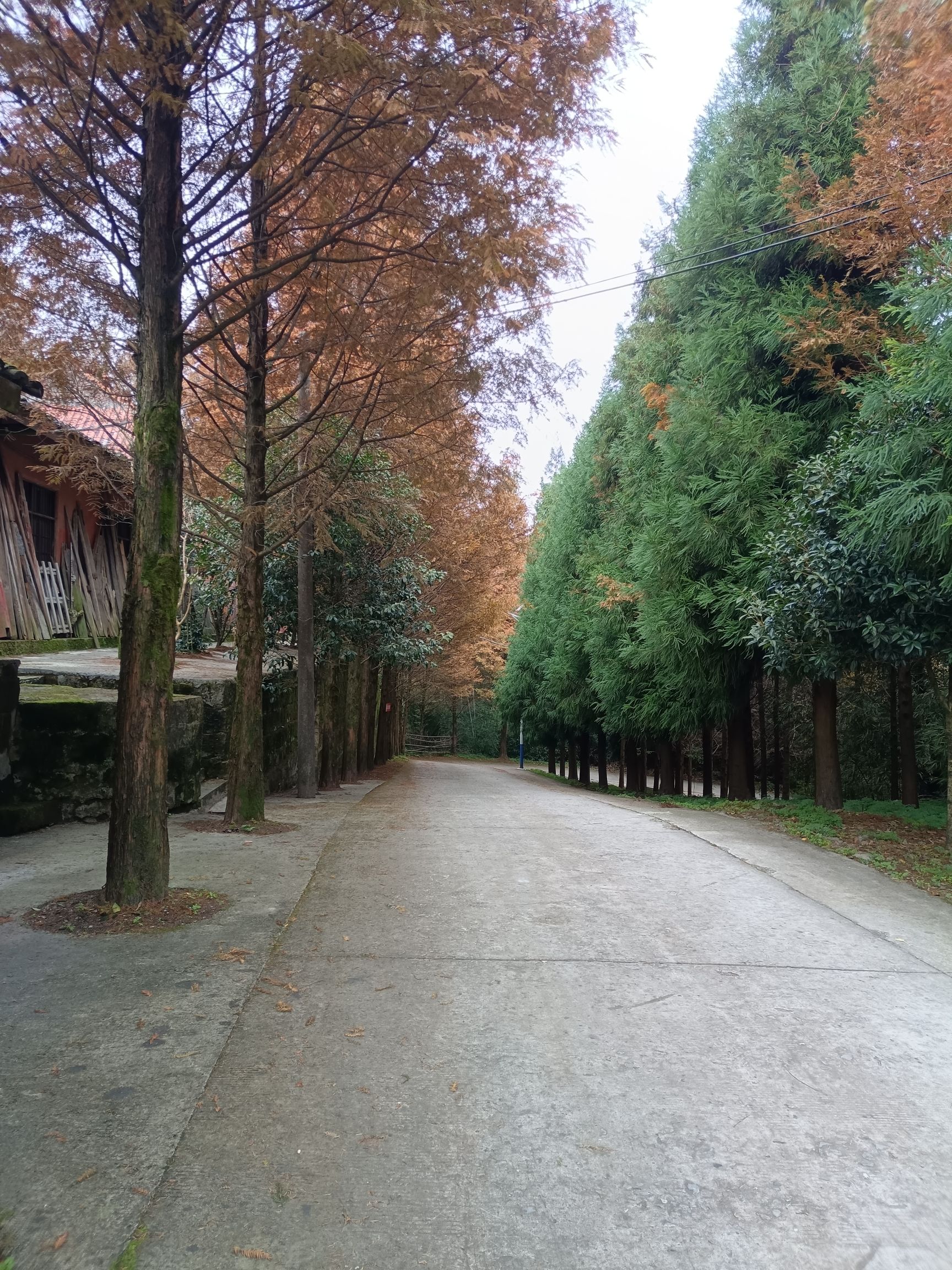 云雾山风景名胜区旅行图片 2