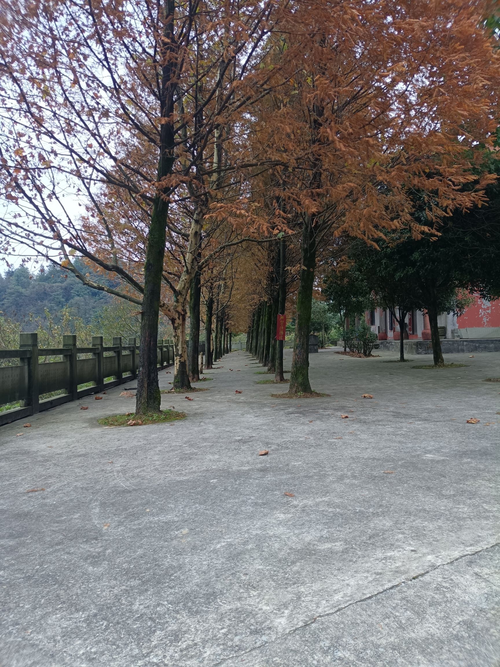 云雾山风景名胜区旅行图片 1
