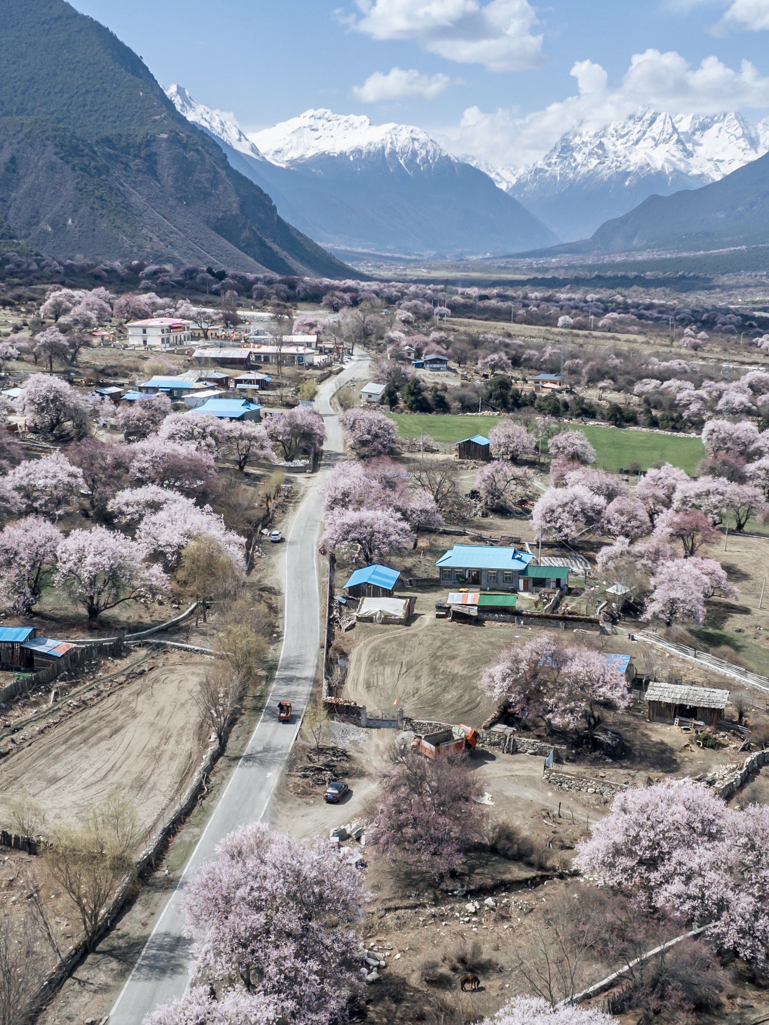 波密桃花沟景点图片